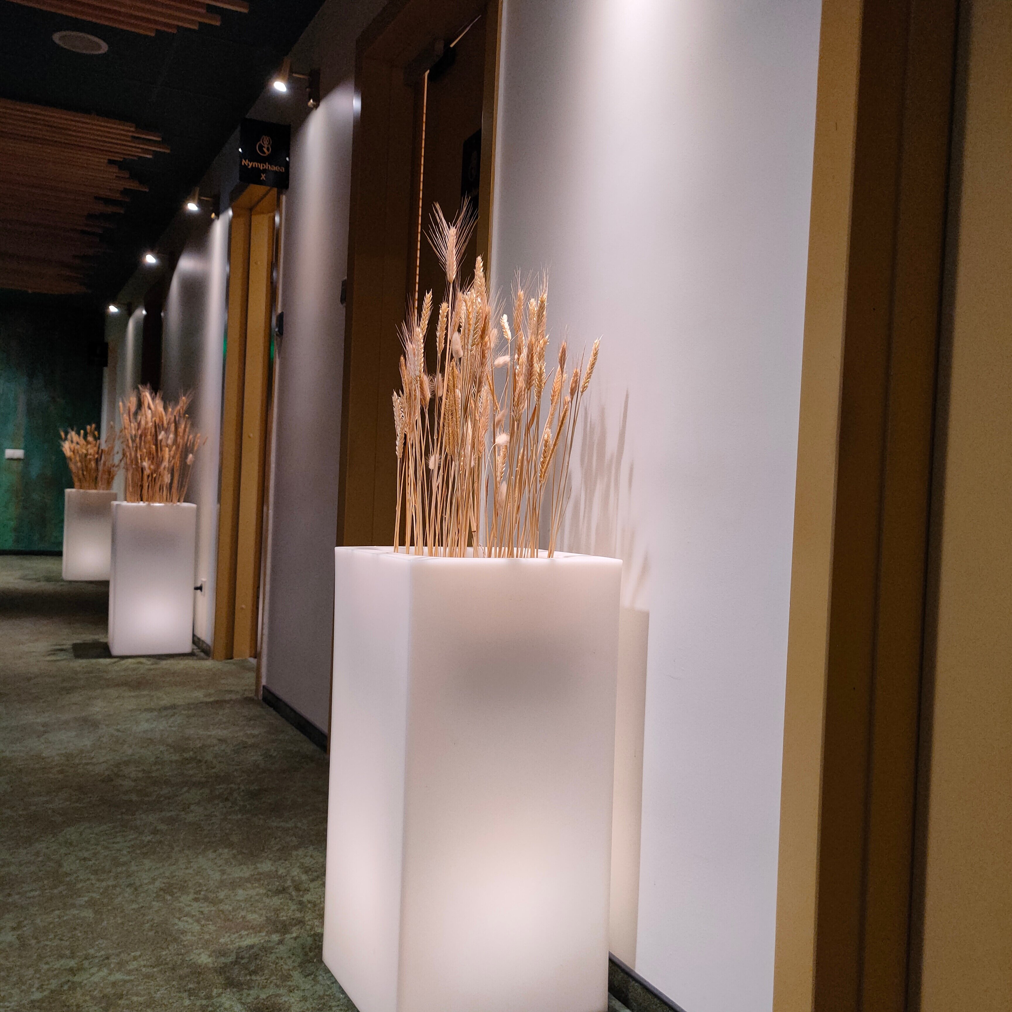 Фото Вильнюс СПА Друскининкай