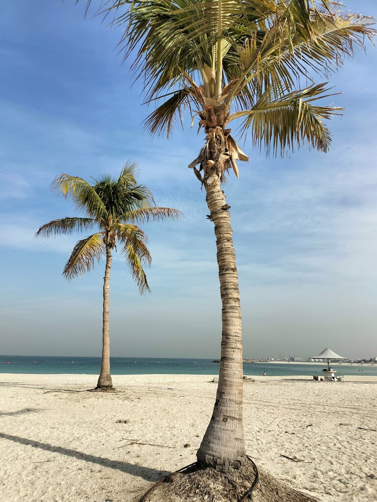 Beach Beach, Dubai, photo