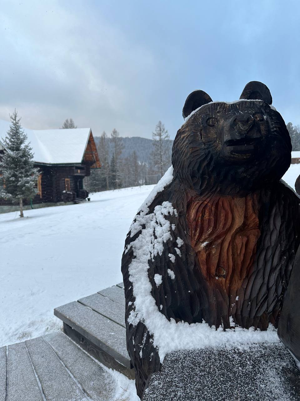 Фото Медвежья гора