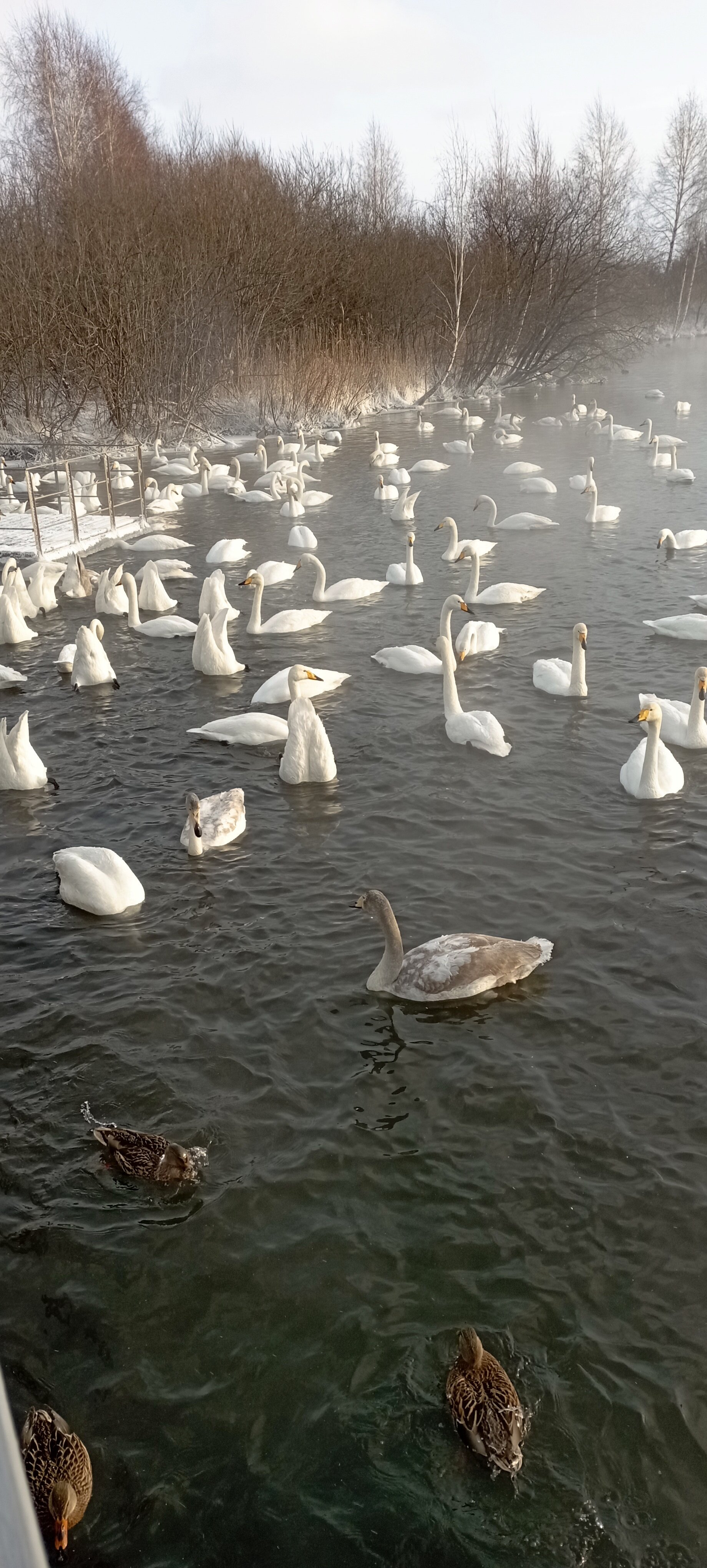 Фото Транссиб