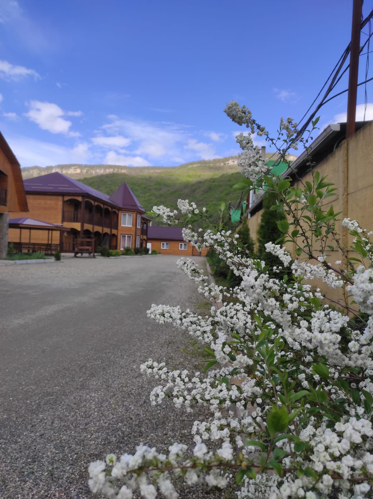 Фото Горный бриз