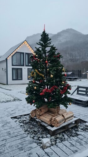 Дом в аренду ПроГоры в Республике Северная Осетия — Алания