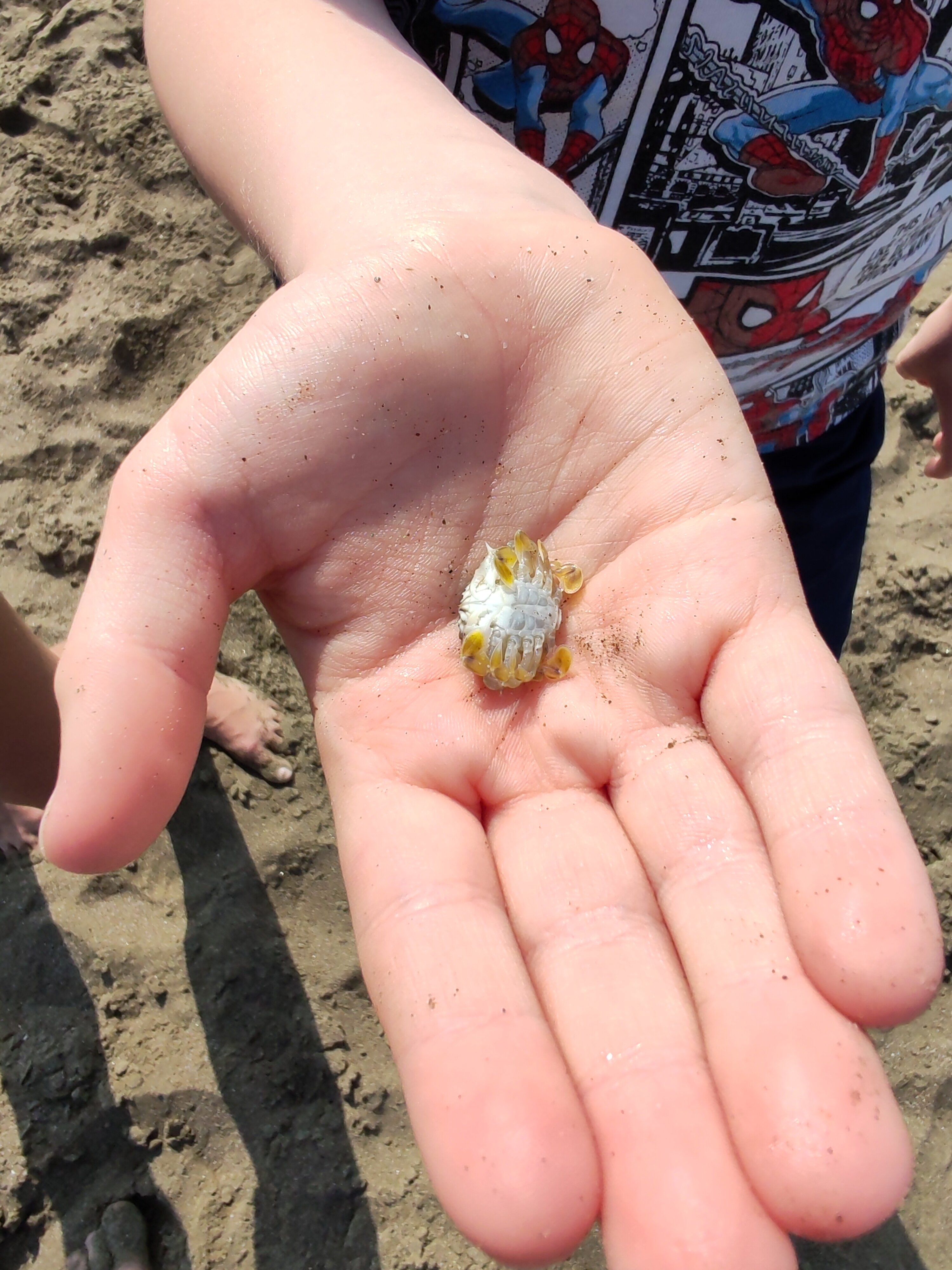 Фото Clifton International Hotel