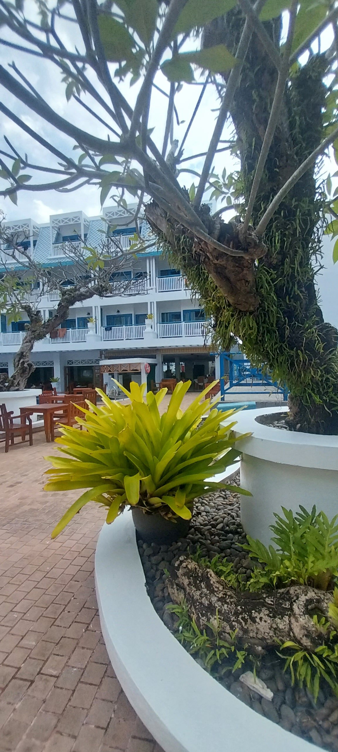 Фото Andaman Seaview Hotel