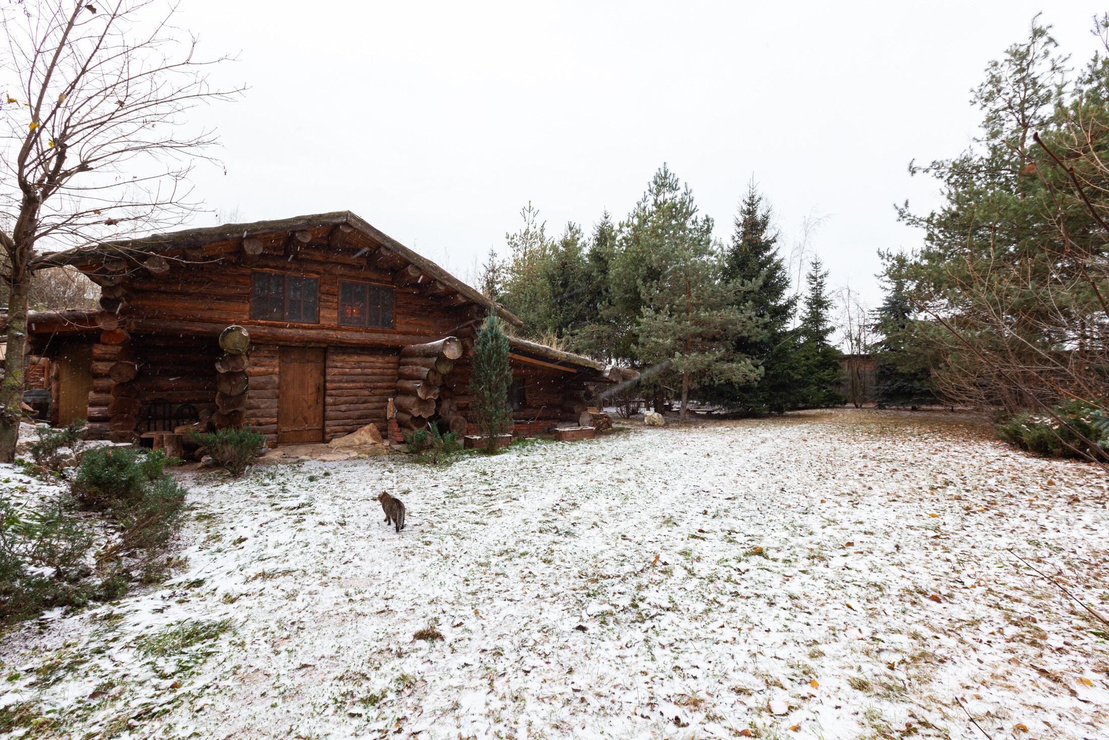 Фото Таежный