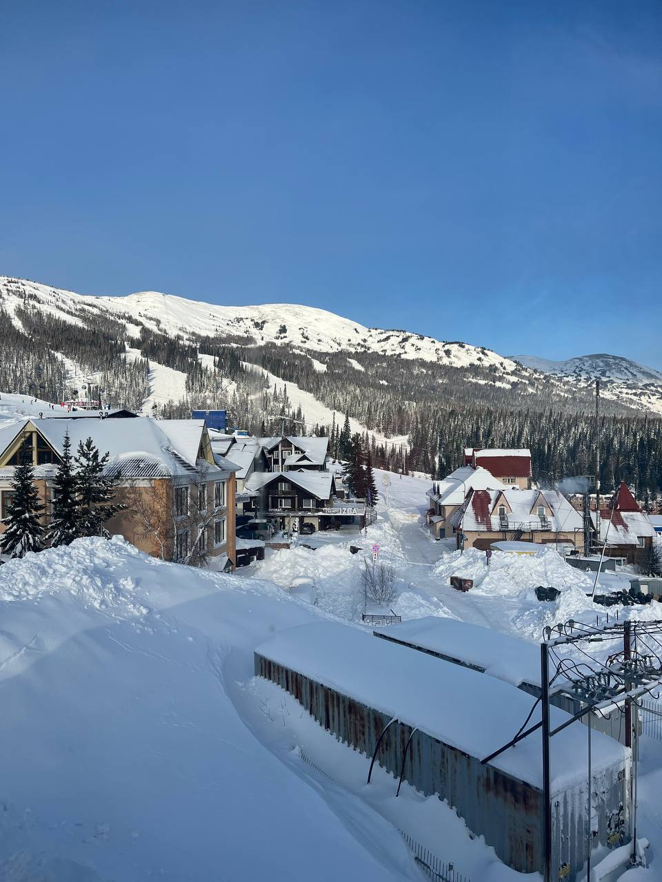 Фото Медведица