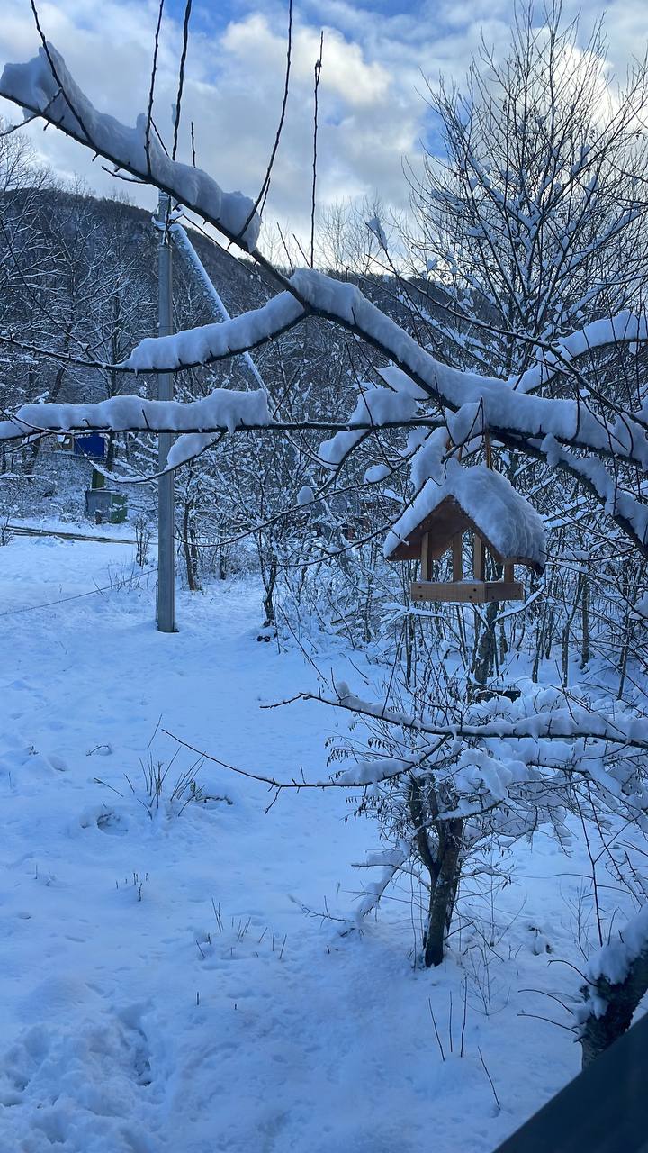 Фото Солярис