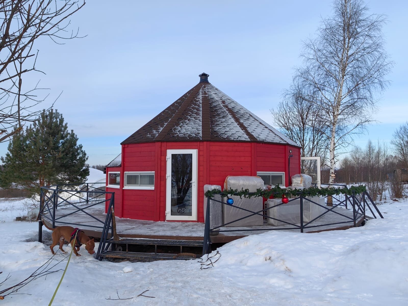 Фото Просто Cosmos