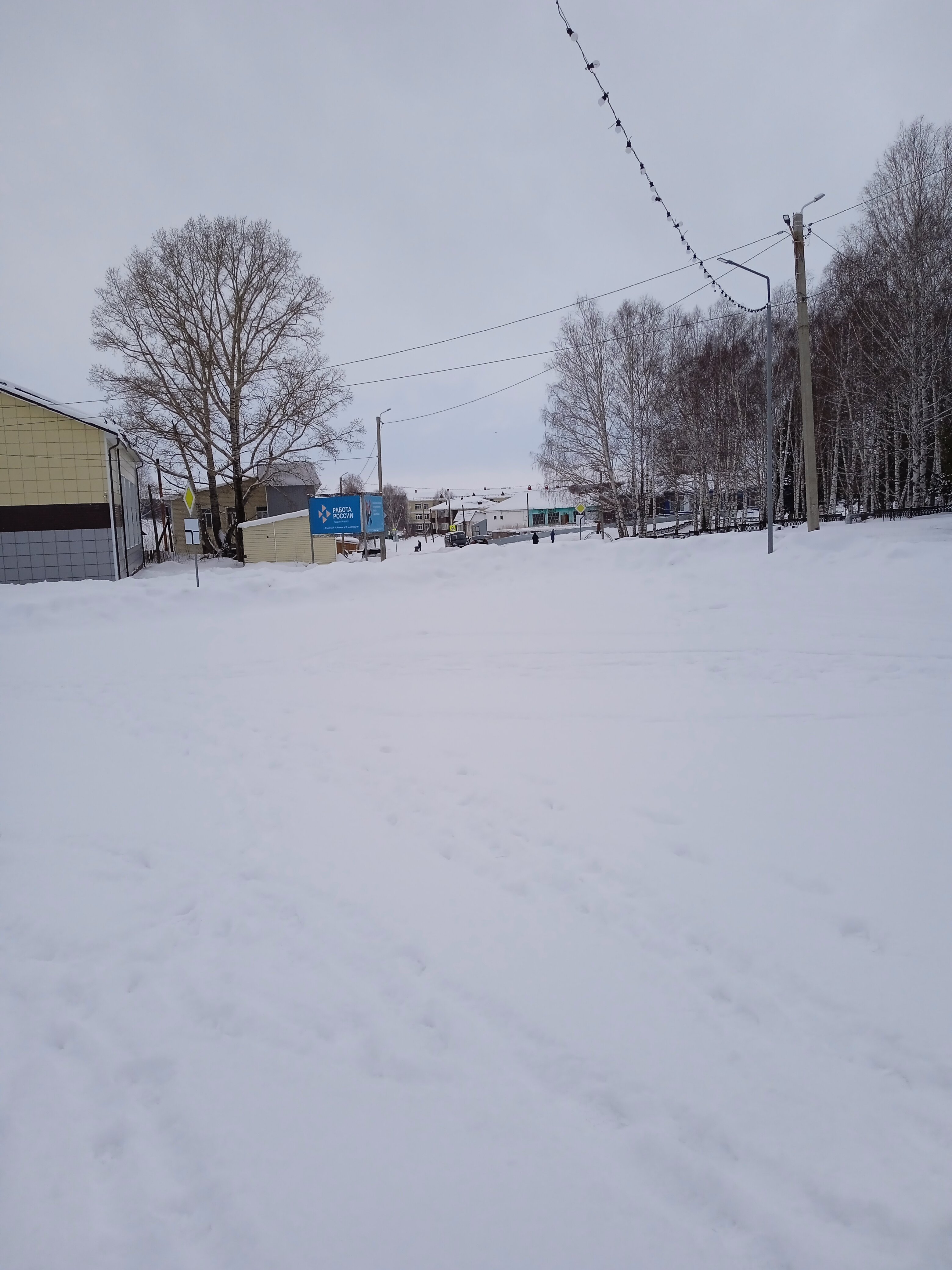 Фото Золотая подкова