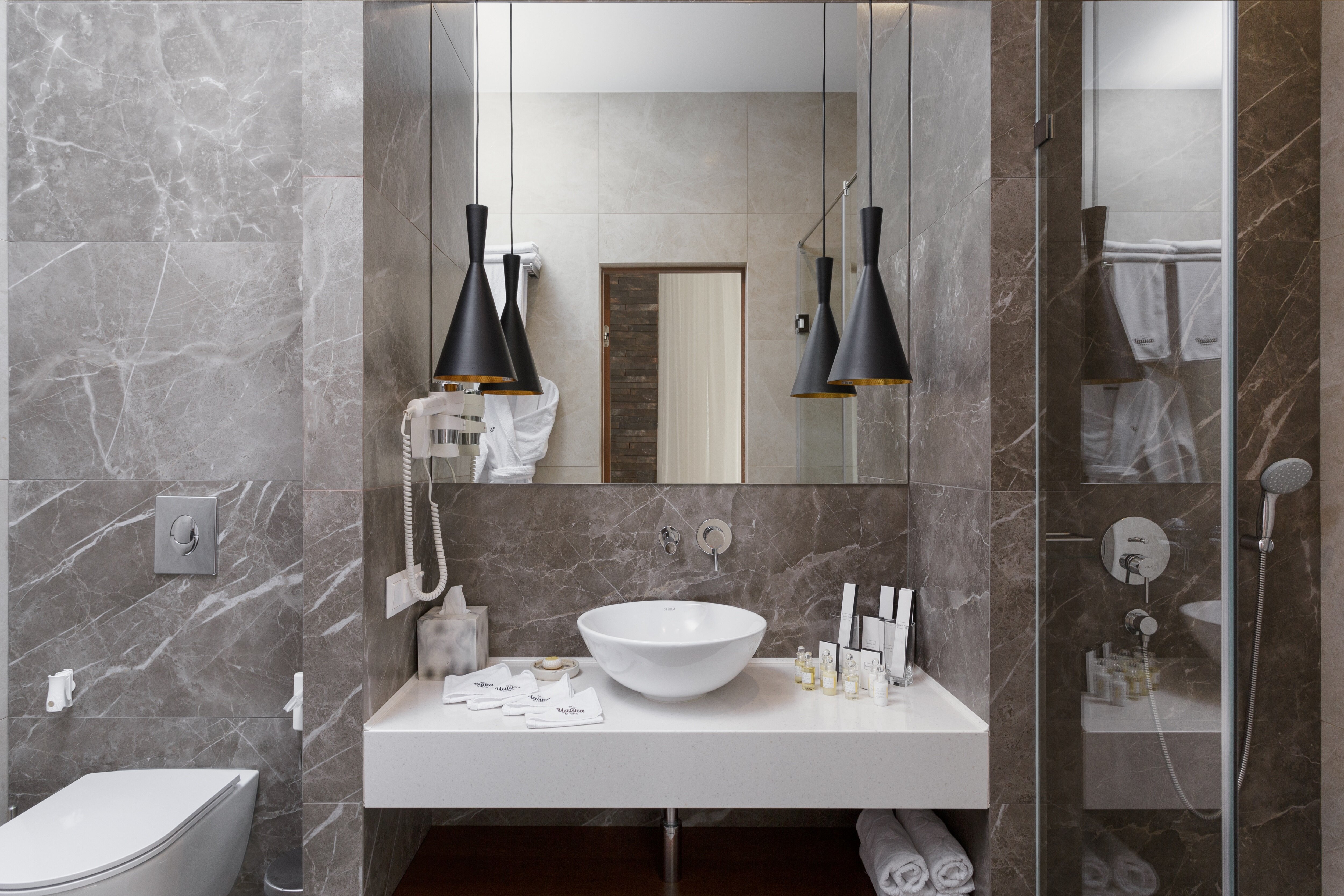 Фото Полёт Чайки