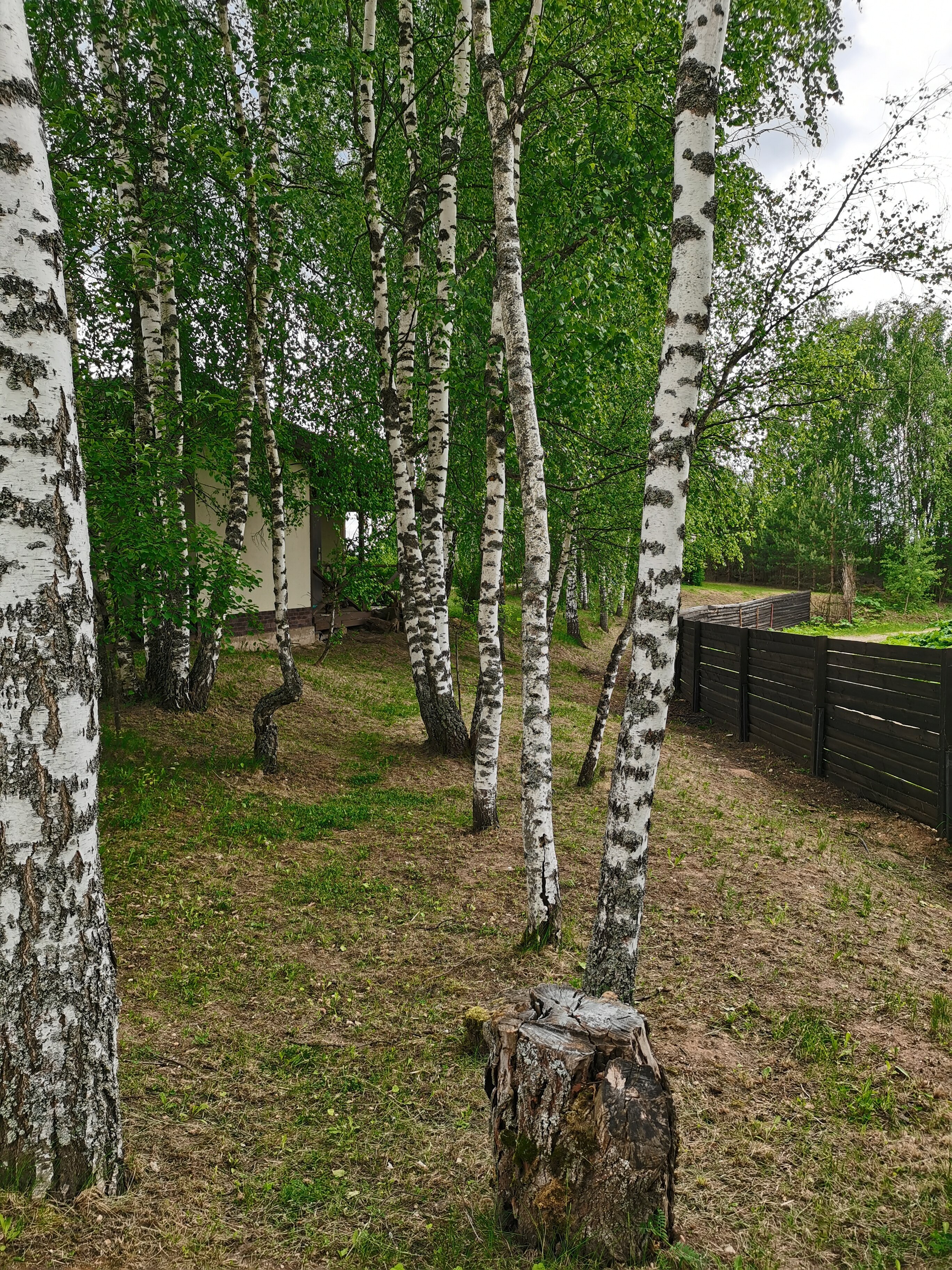 Фото Хуторок