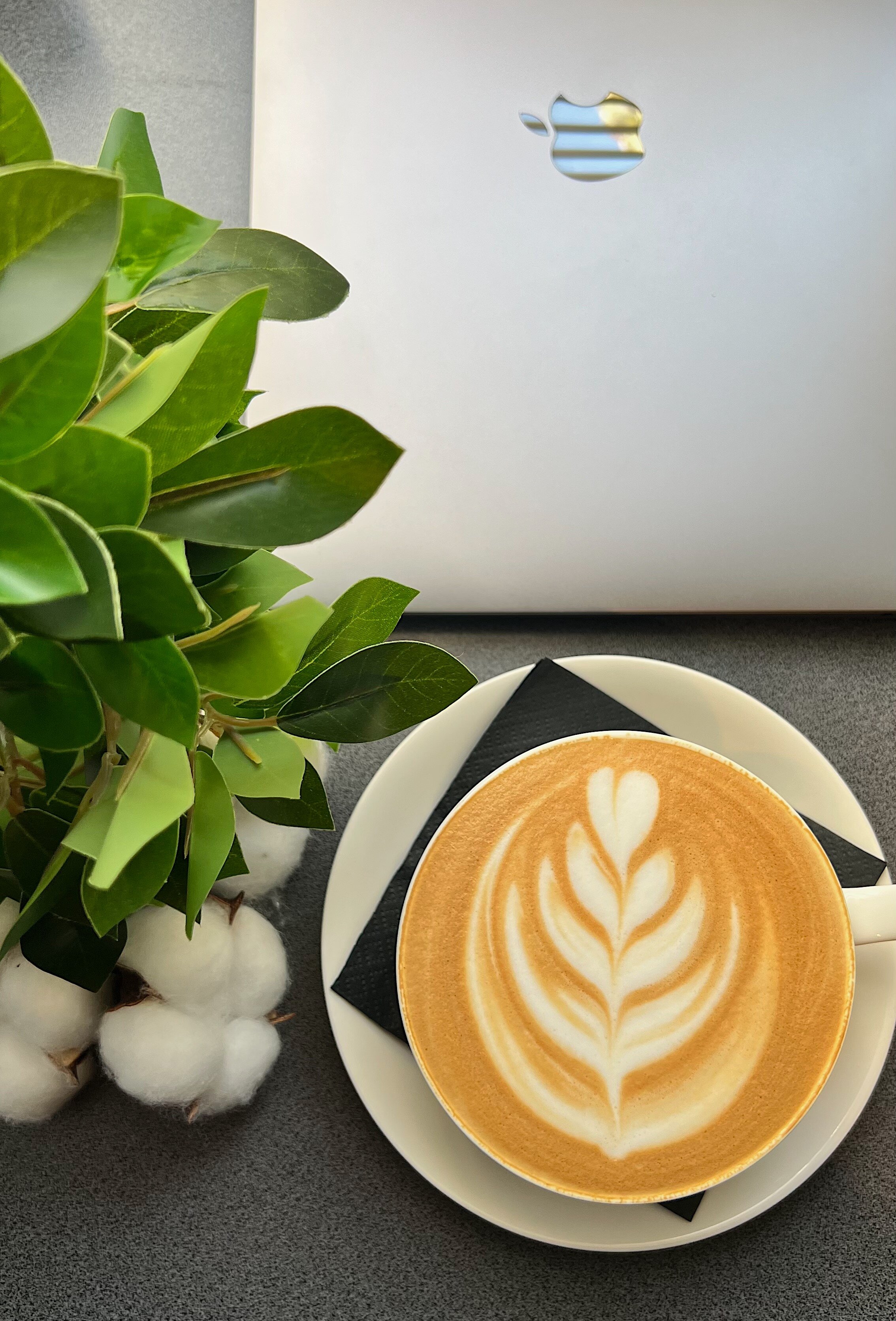 Фото МетаМосква