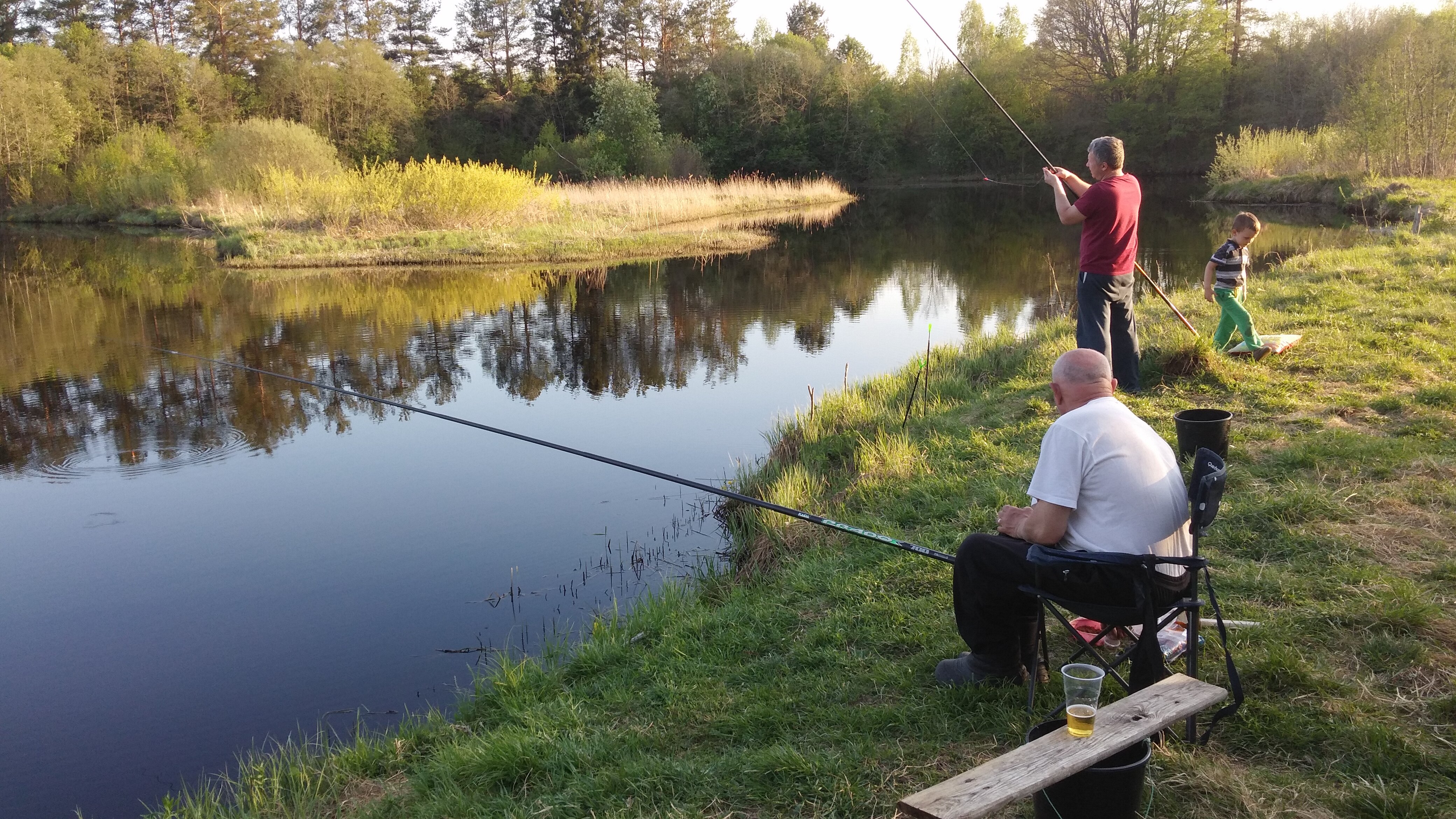 Фото Вьюлка