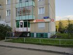Bristol (ulitsa Kutuzova, 73А), alcoholic beverages