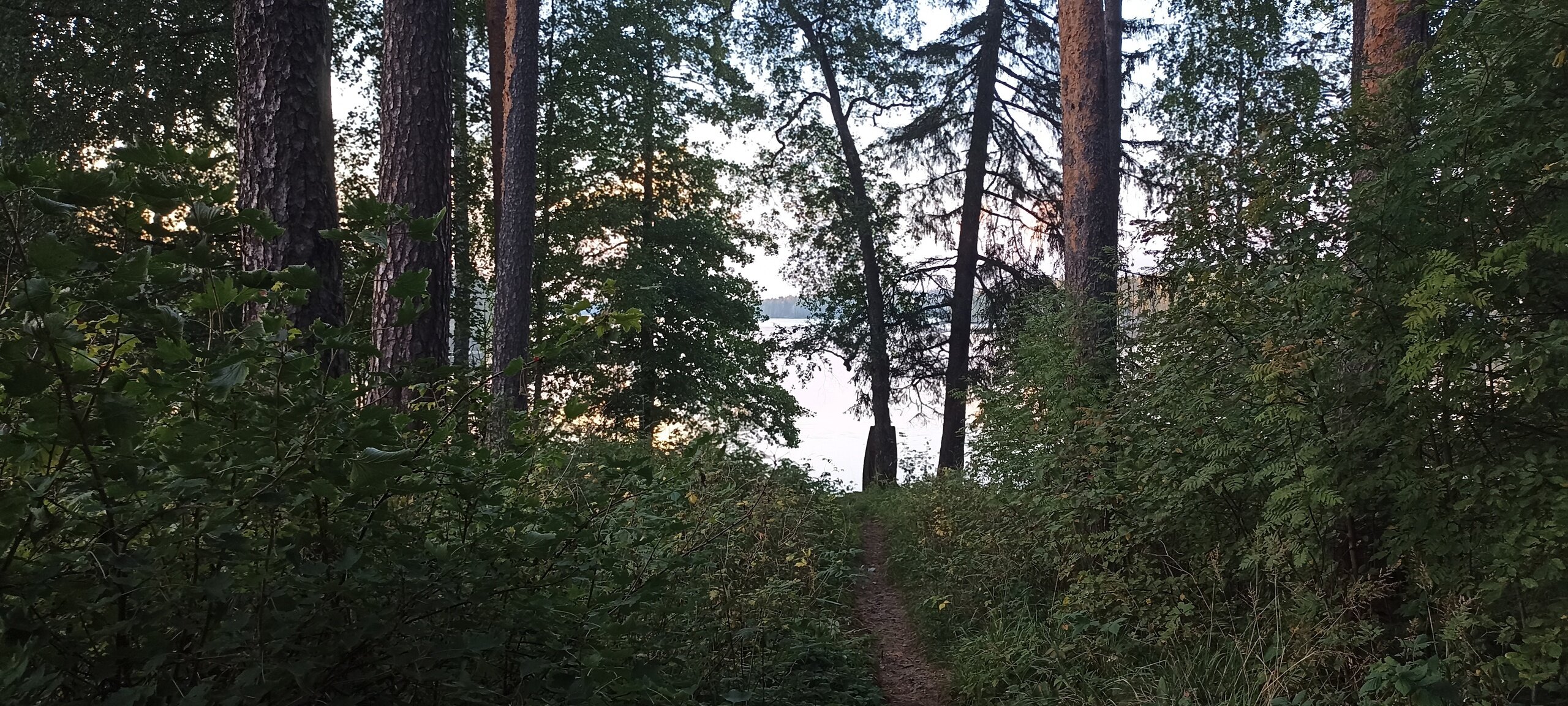 Фото Щучье озеро