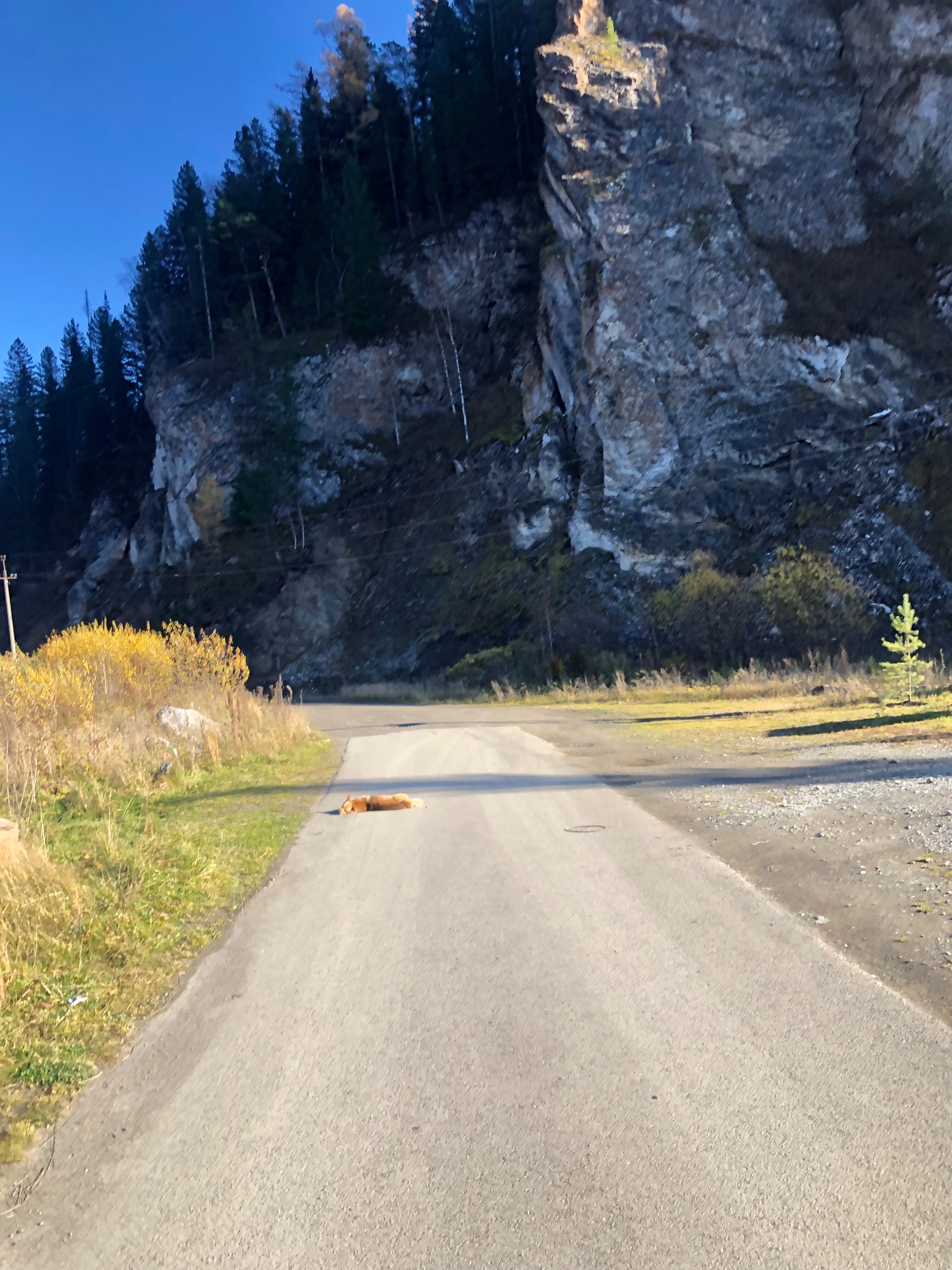 Фото Сказочка