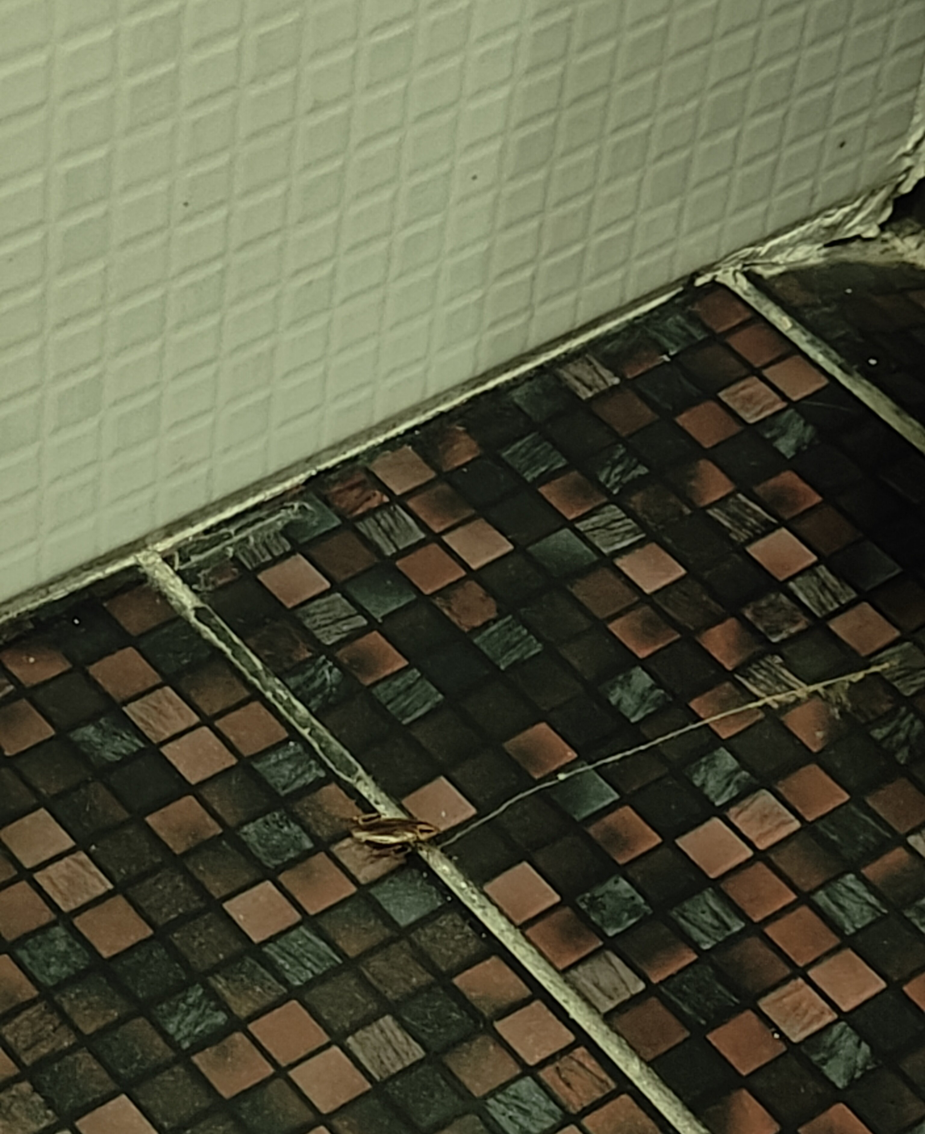 Фото Сочи-Ривьера