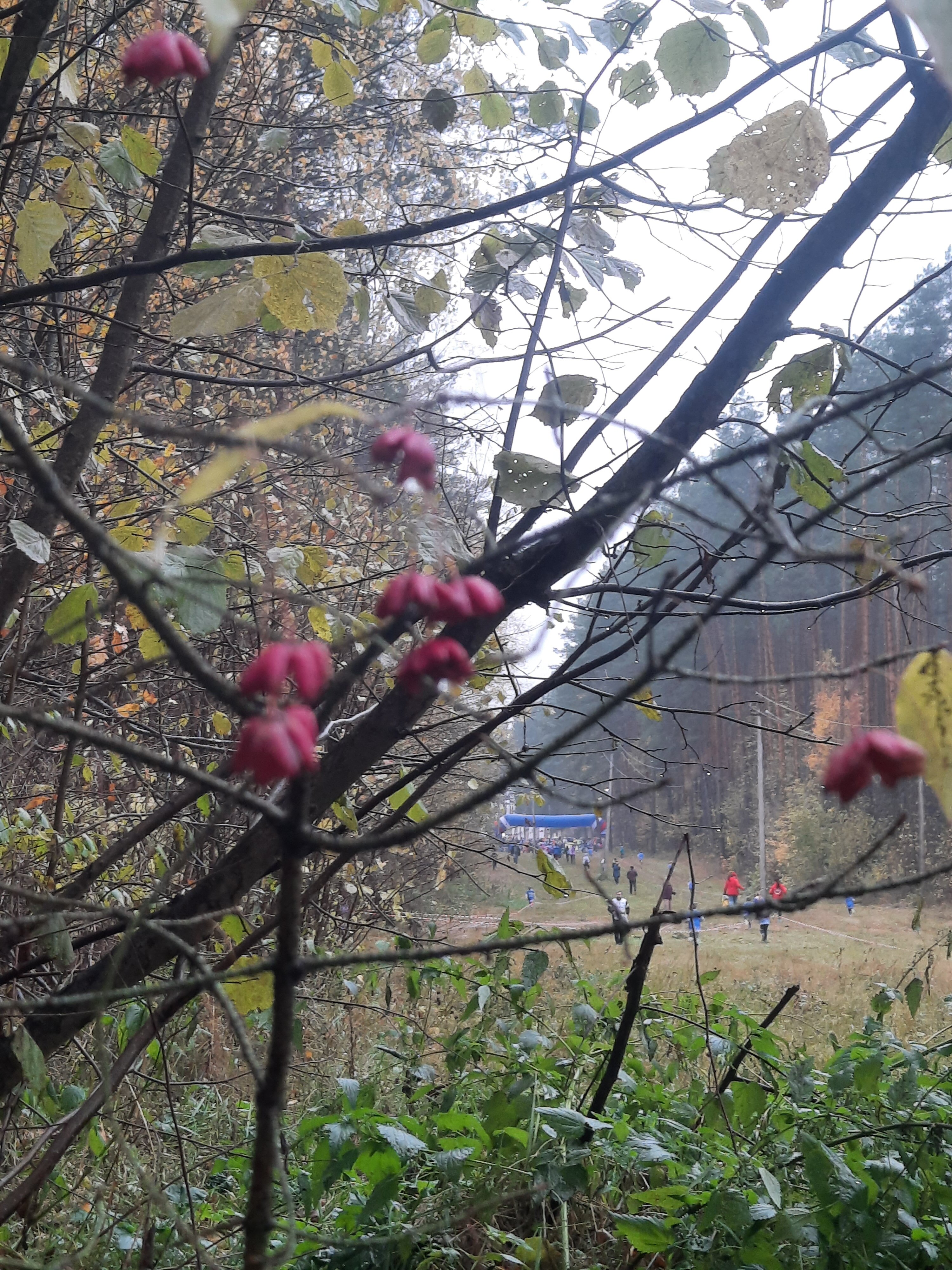 Фото Динамо