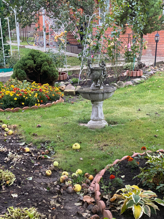 Фото Царедворье