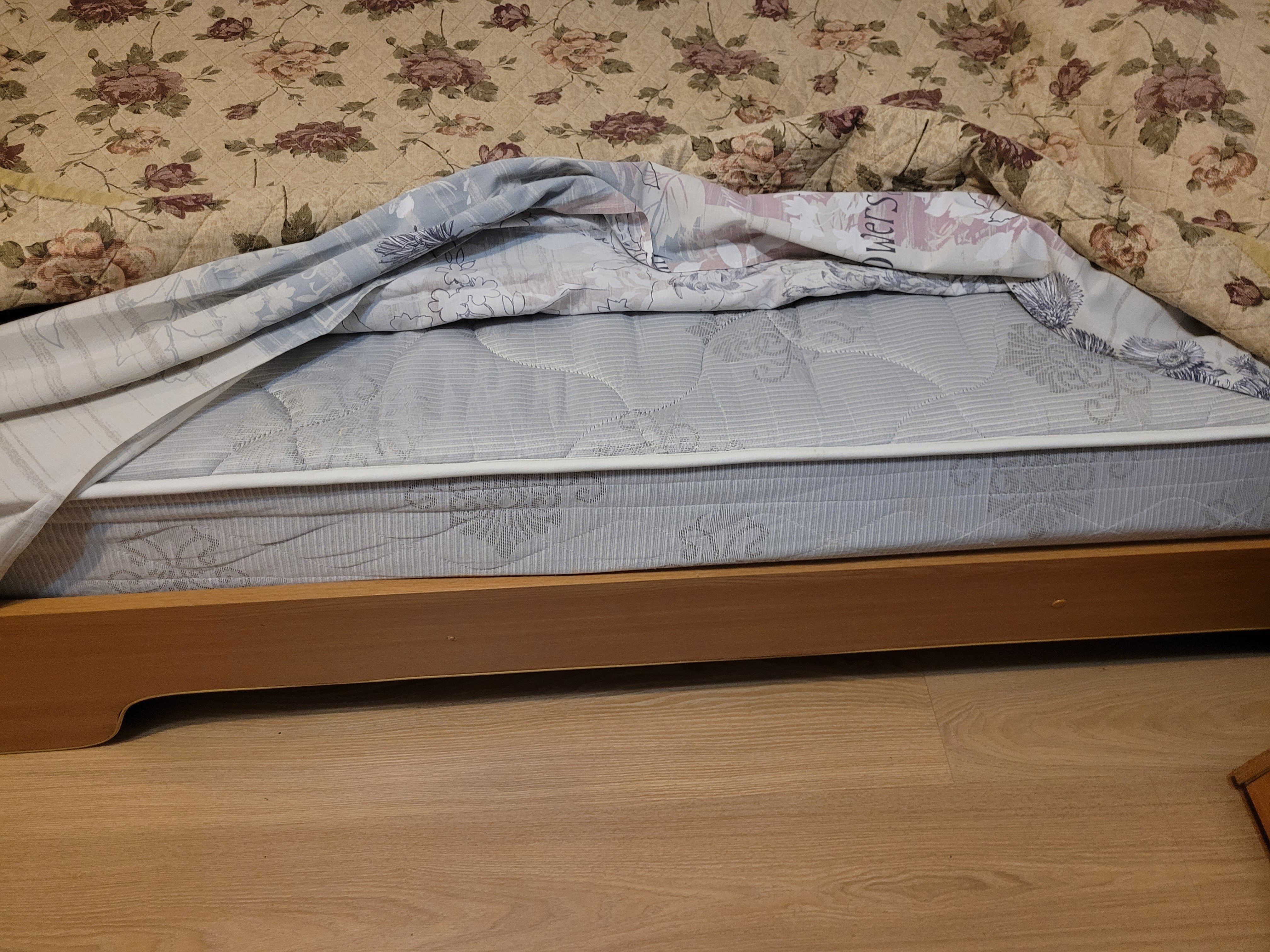 Фото Тихий Дон