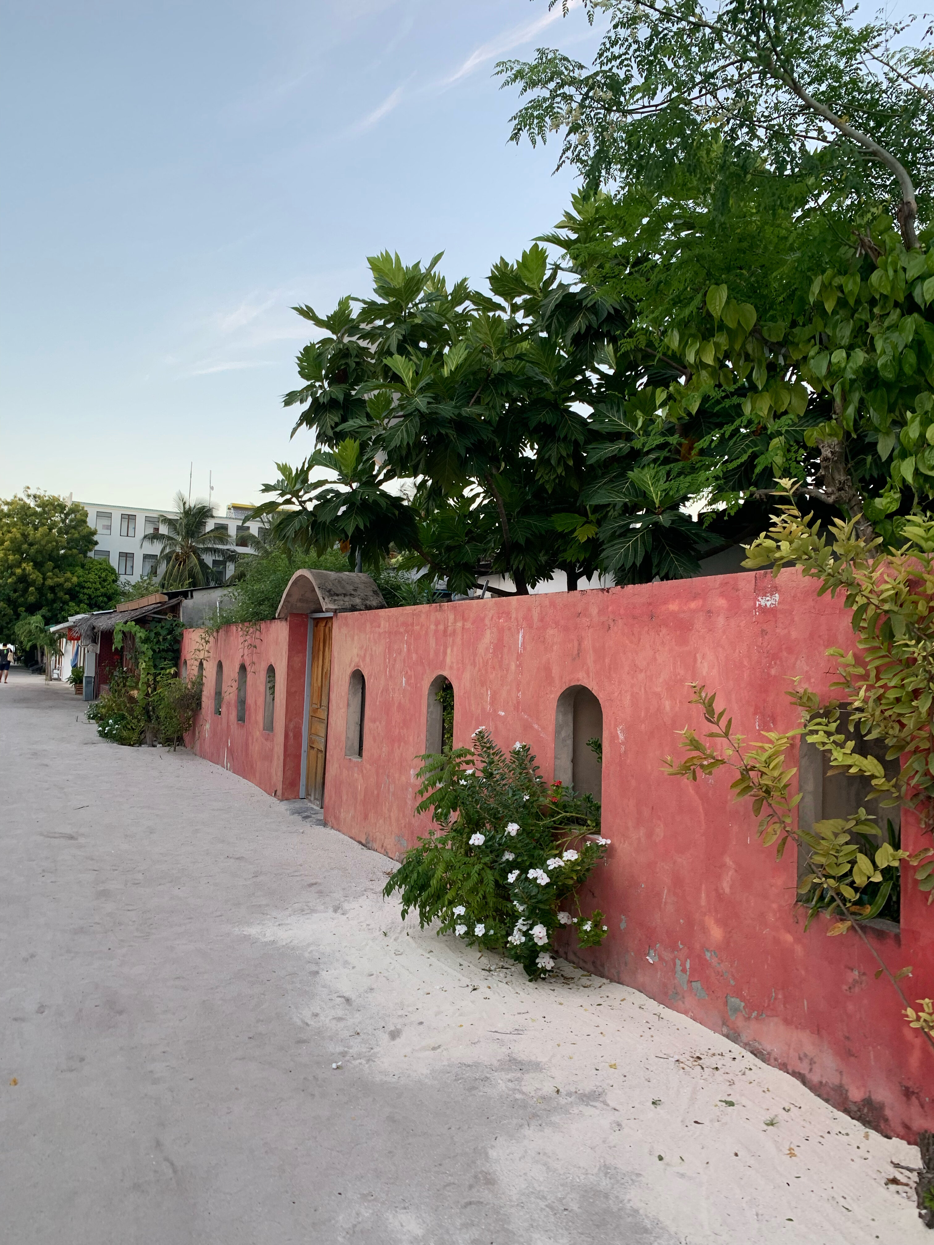 Фото Plumeria Maldives