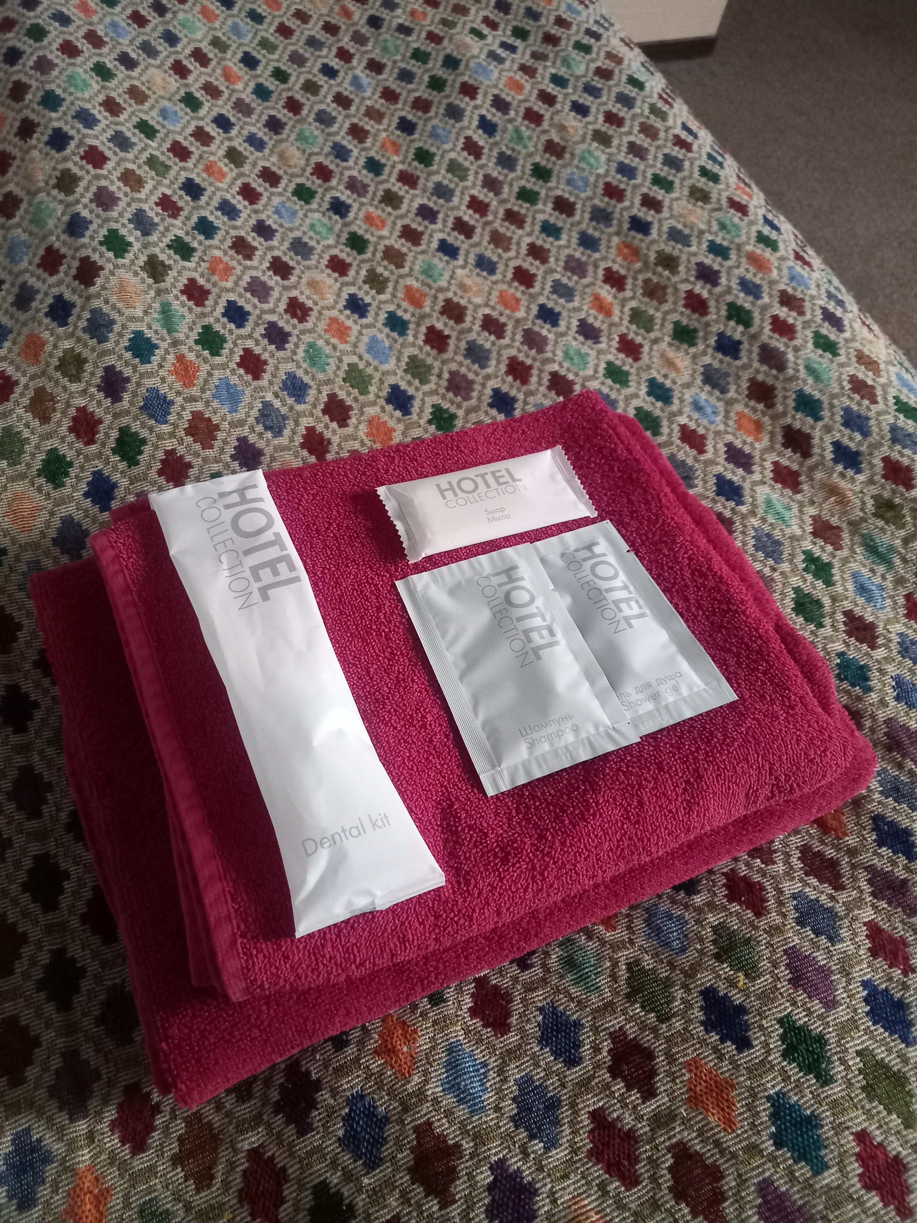 Фото Альбатрос