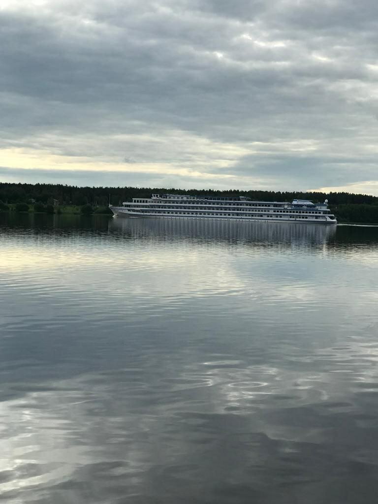 Фото Ёлки зелёные