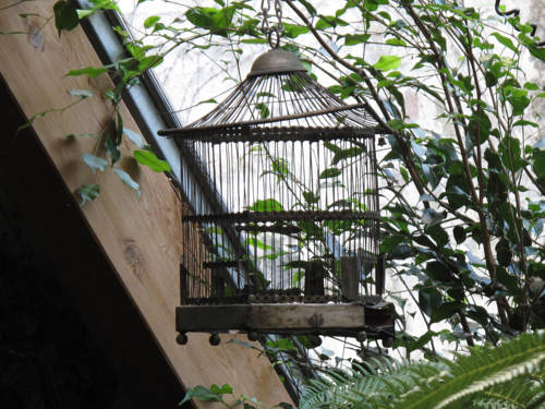 Фото Saint Nicolas Hotel