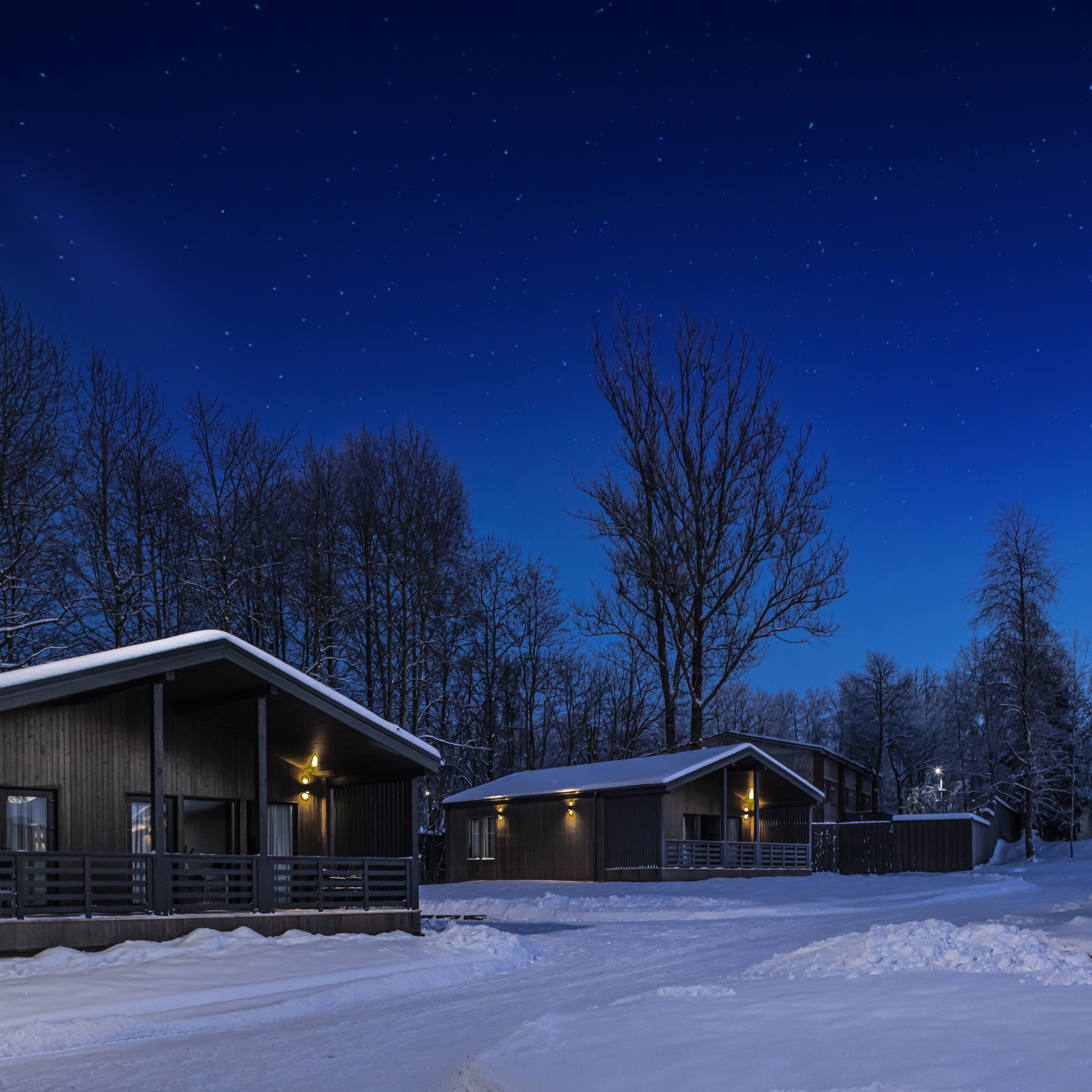 Фото Русские Сезоны Парк Отель Пересвет