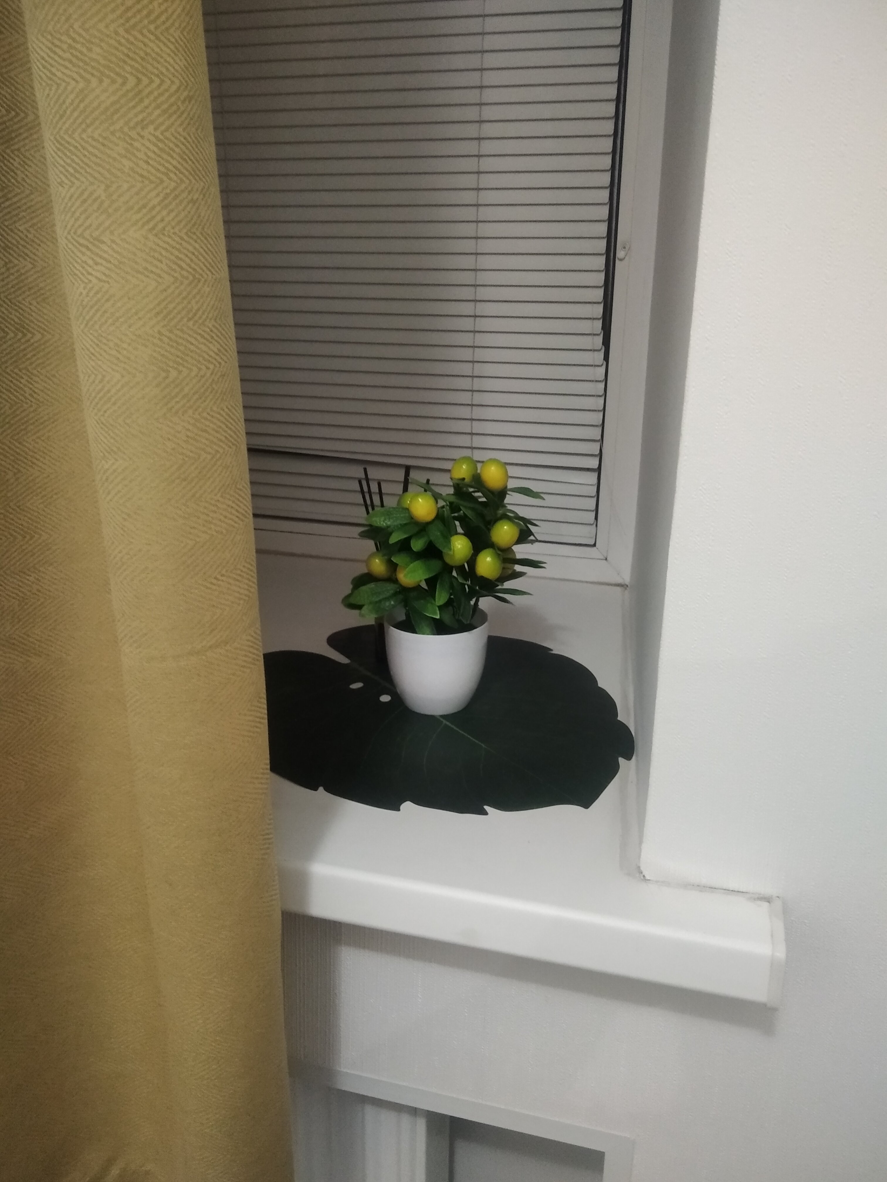 Фото Шевченко