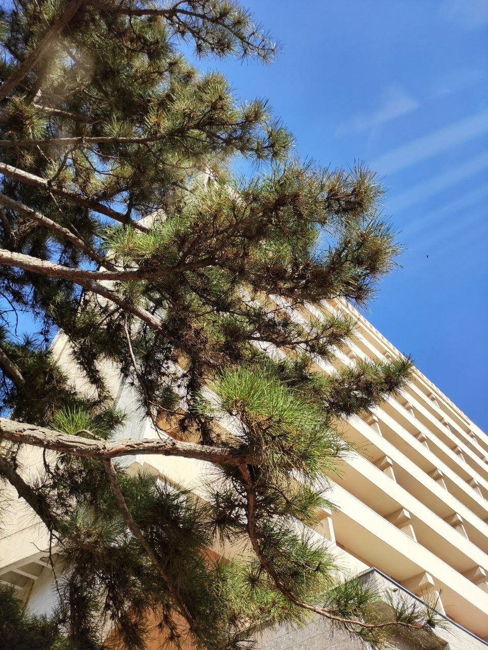 Фото Shodlik Palace