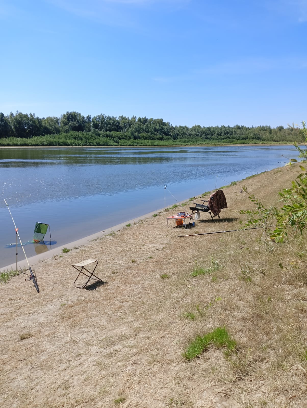 Фото База Звезда