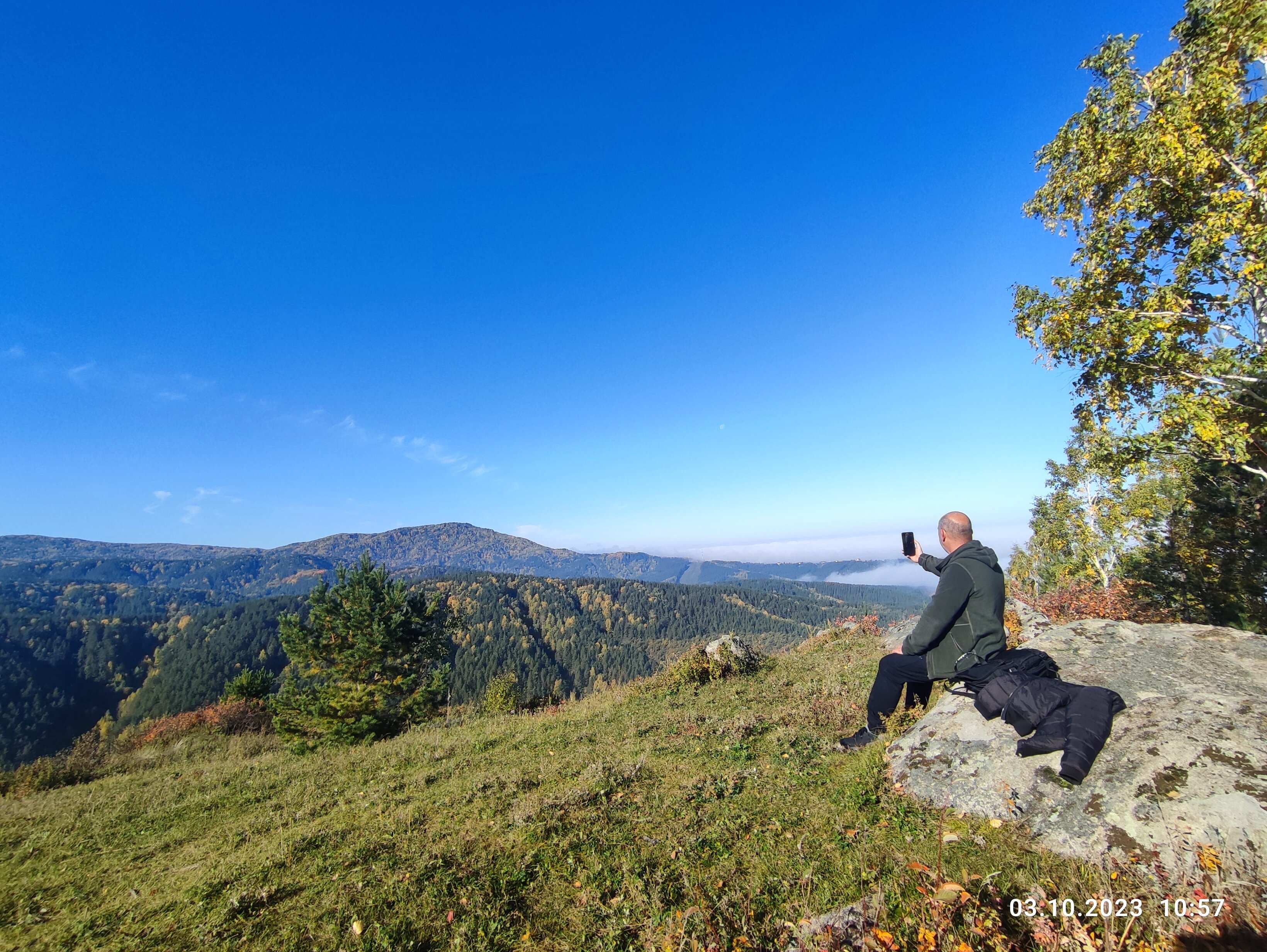 Фото Горная Пчела