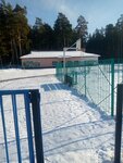 Сузунская детско-юношеская спортивная школа (rabochiy posyolok Suzun, ulitsa Kalinina, 100А) ، مدرسة رياضية