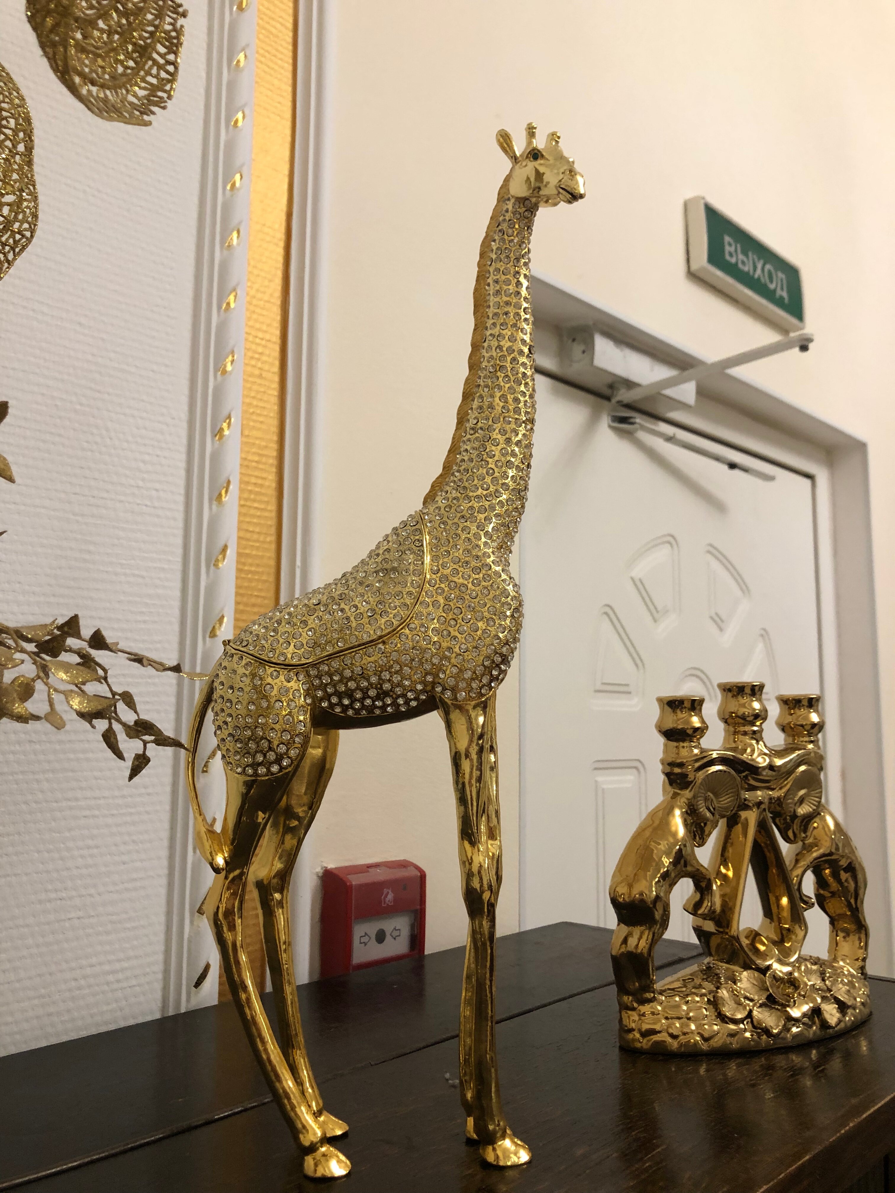 Фото Белое Дерево