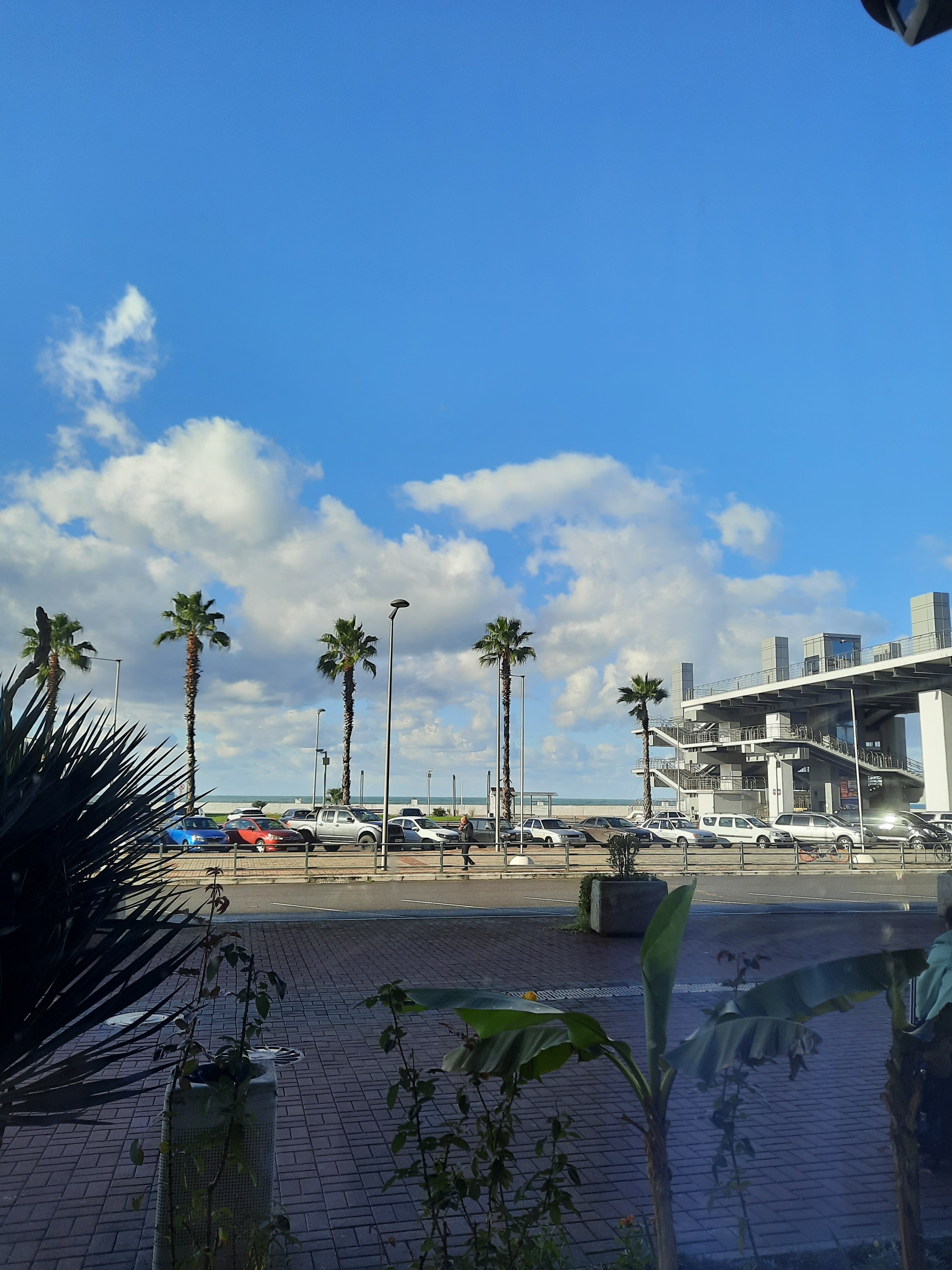 Фото Терминал Адлер