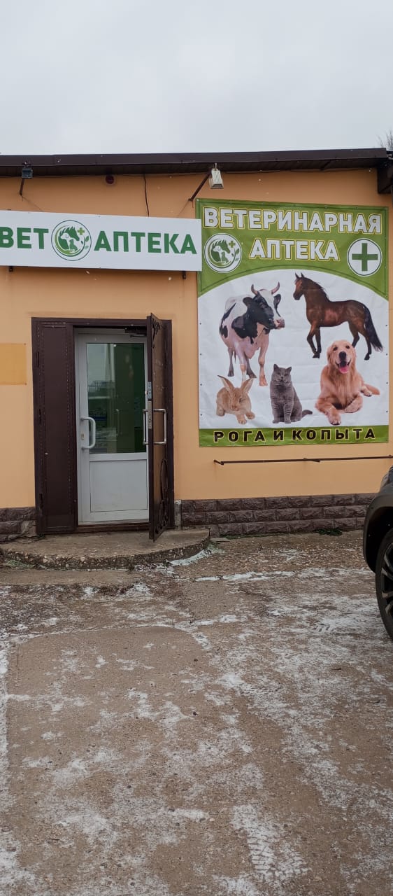 Рога и копыта - фото 1
