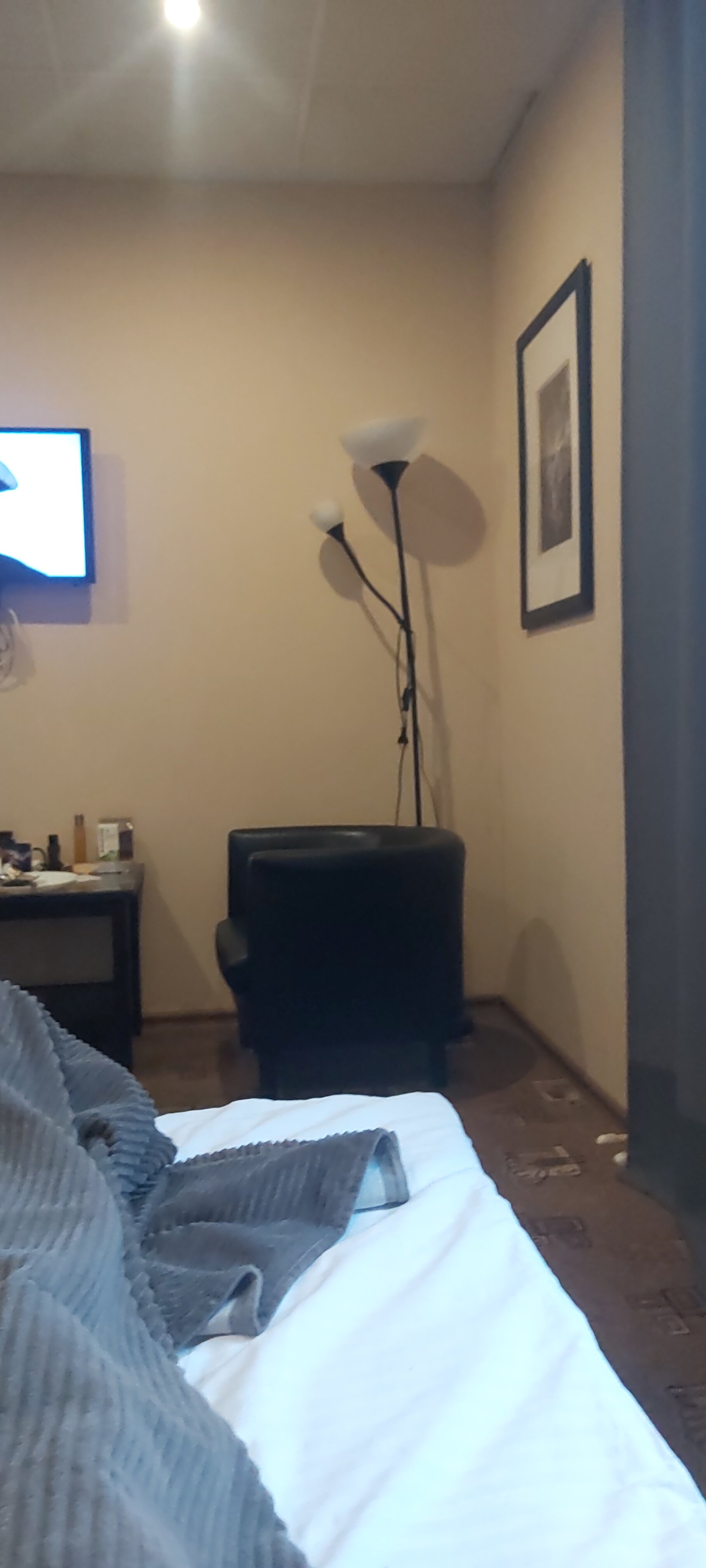 Фото Сириус