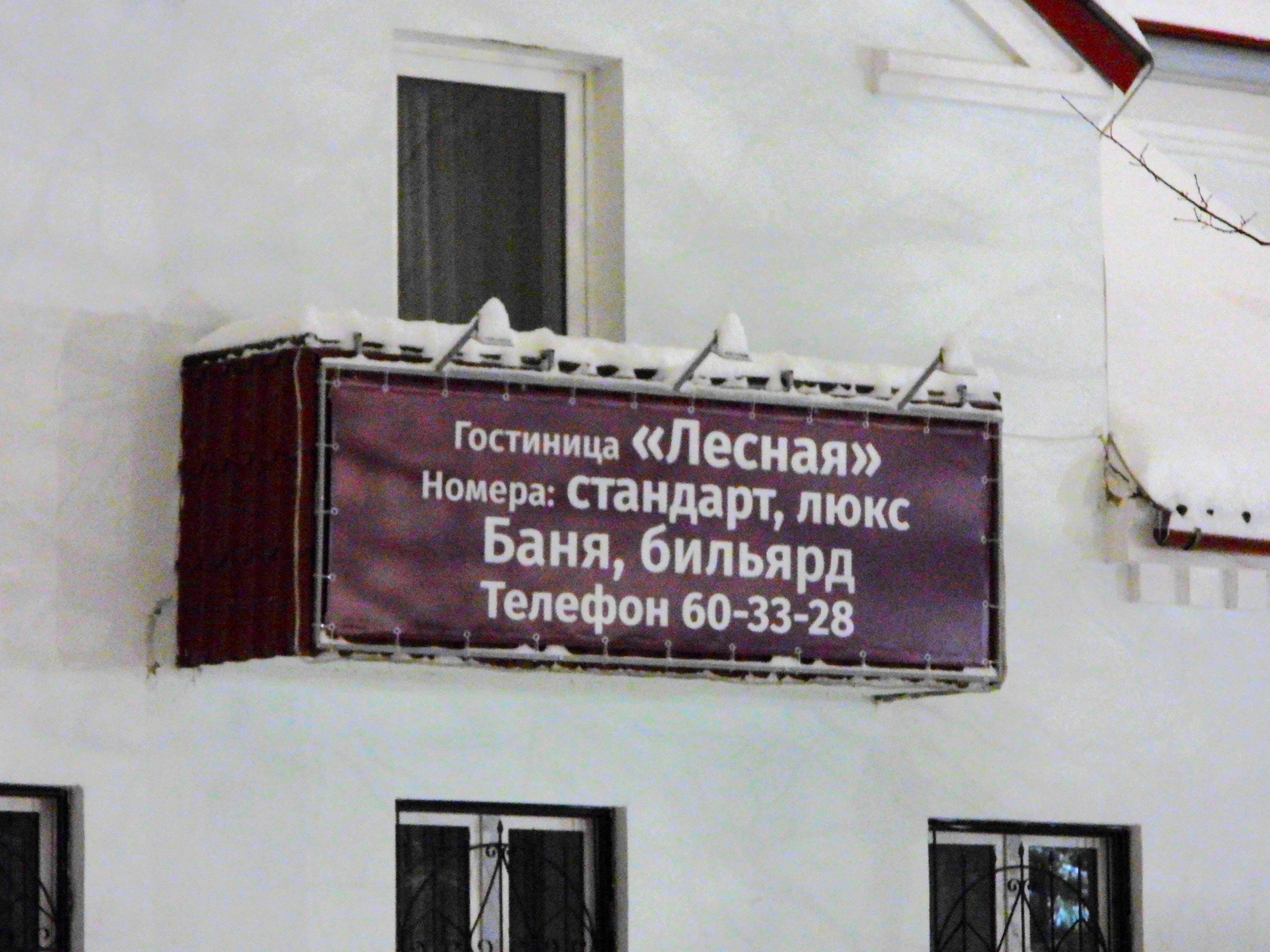 Фото Лесная