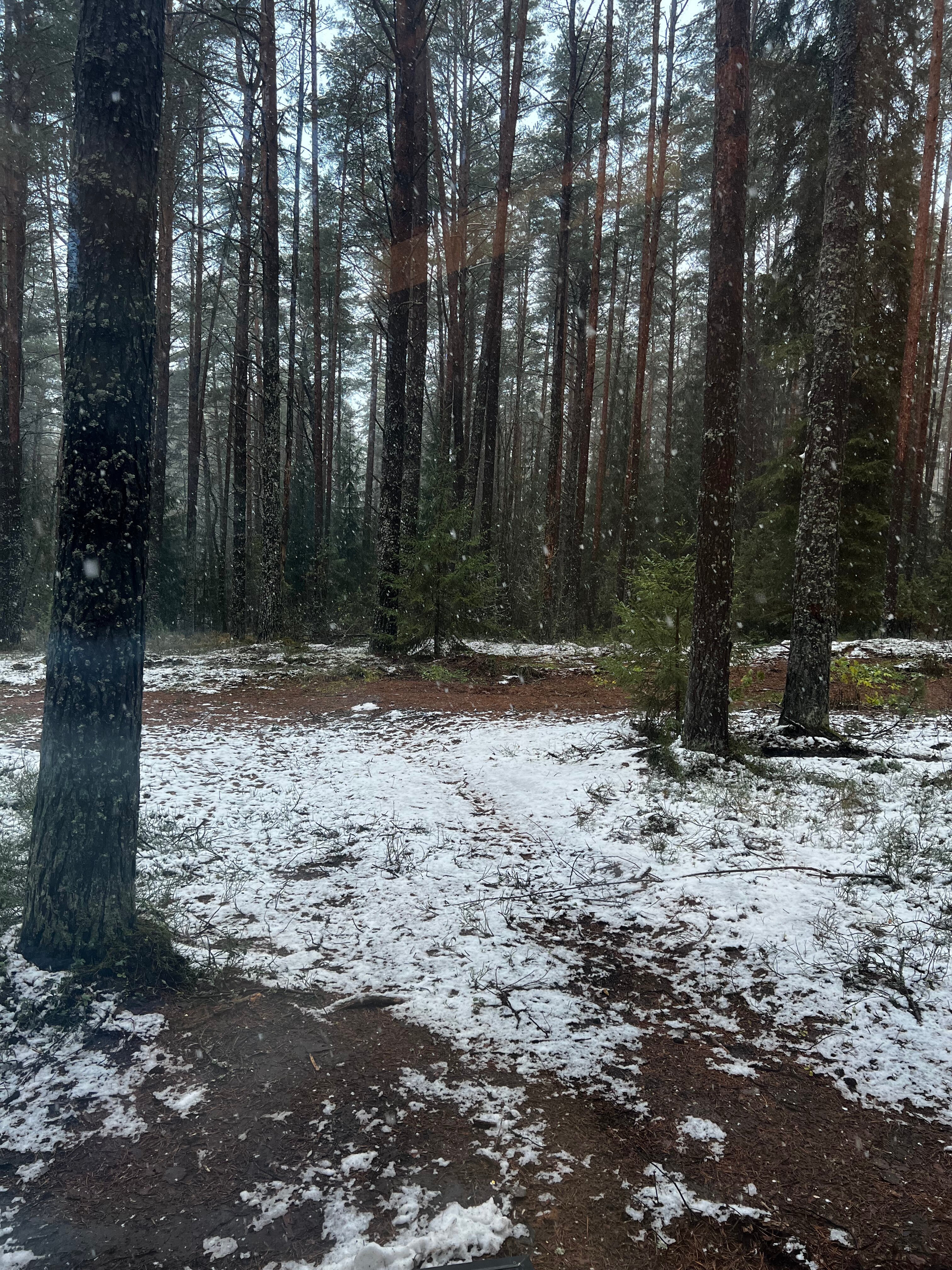 Фото Seliger Soul