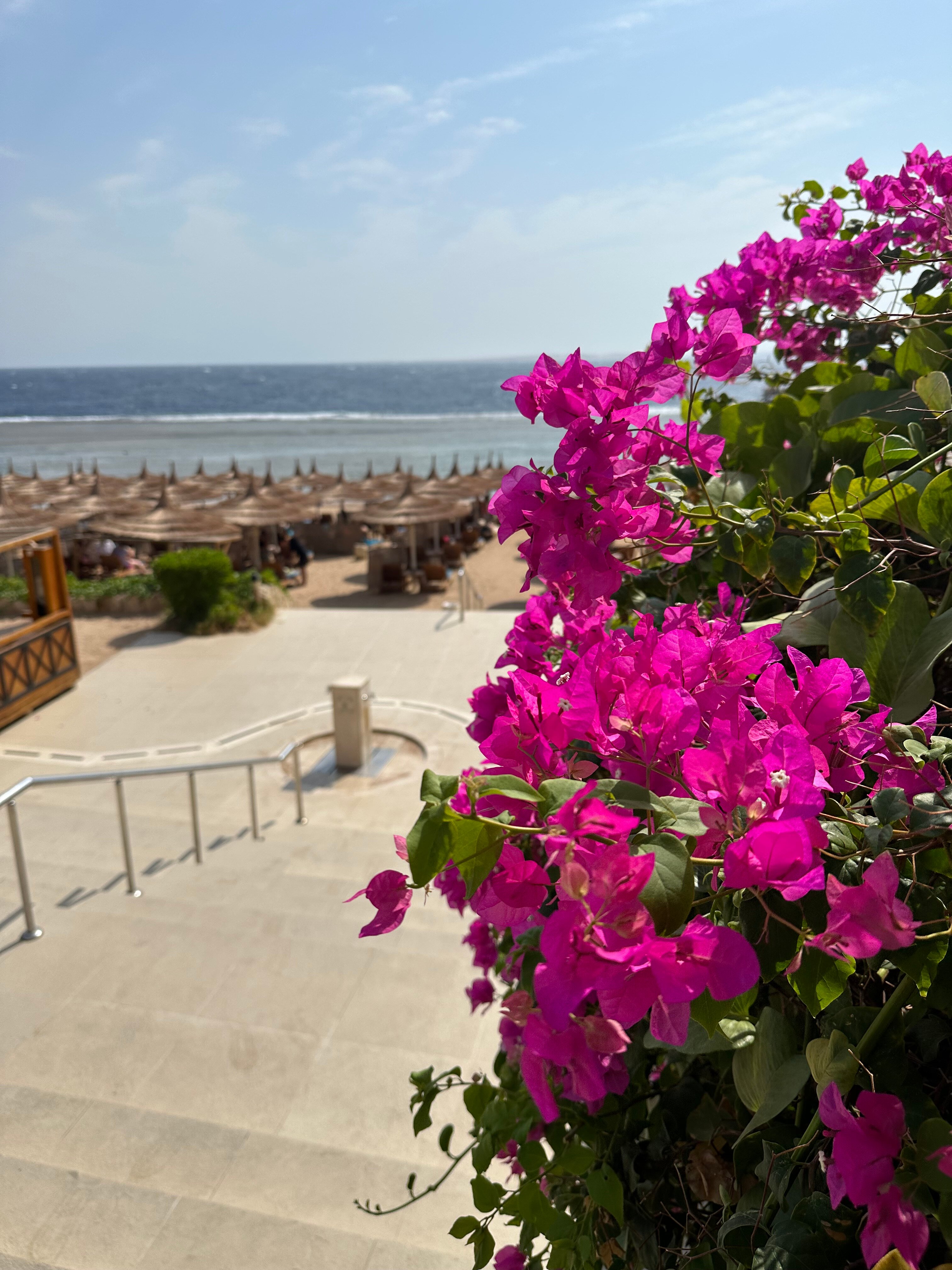 Фото Cleopatra Luxury Resort Sharm El Sheikh