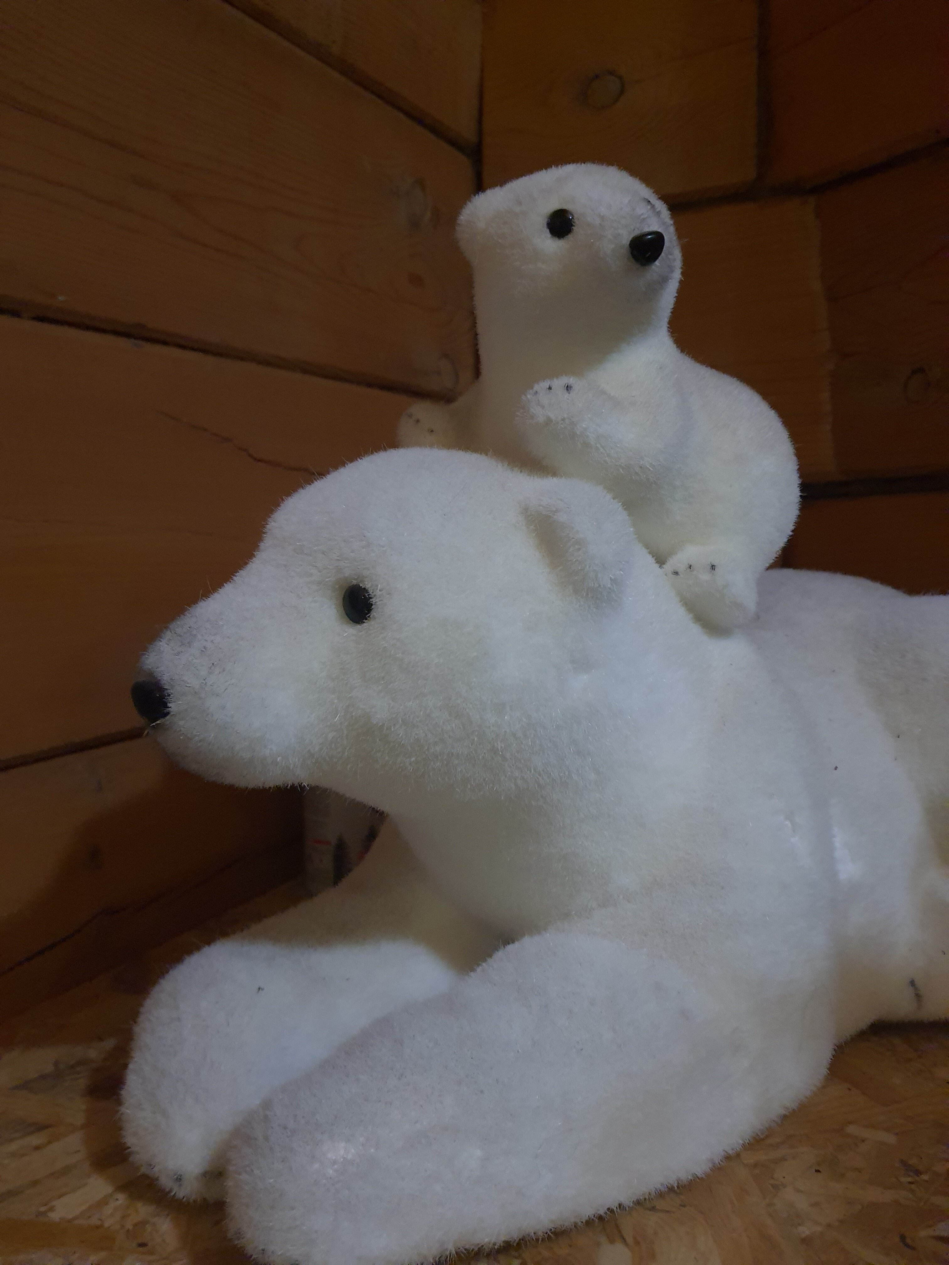 Фото Байкал Терра