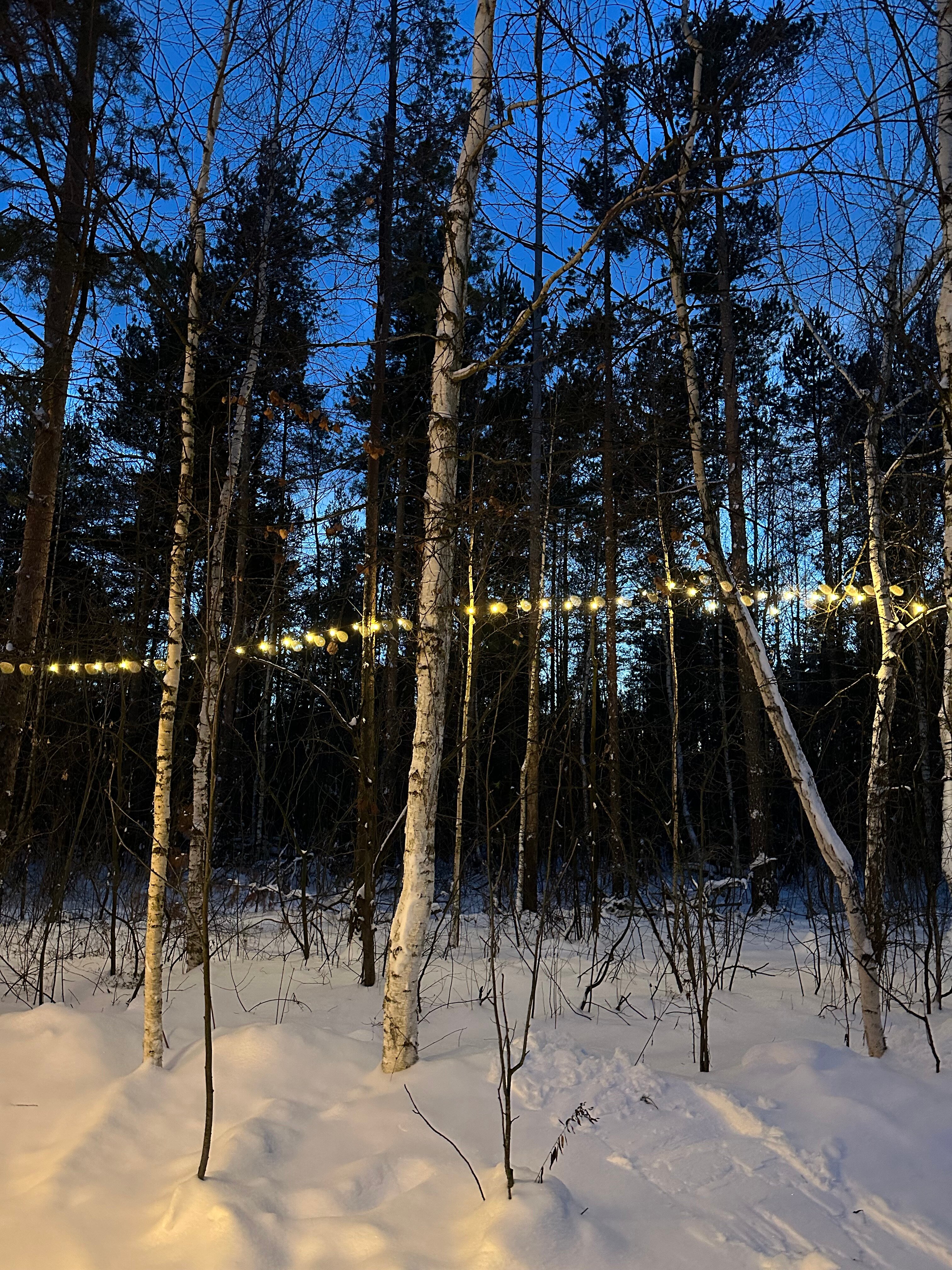 Фото Seclusion home