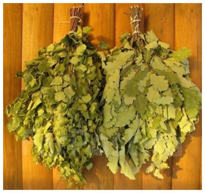 Фото АК Барс