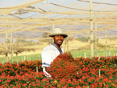 Flower shop Florius Fresh & Colourful, Dubai, photo