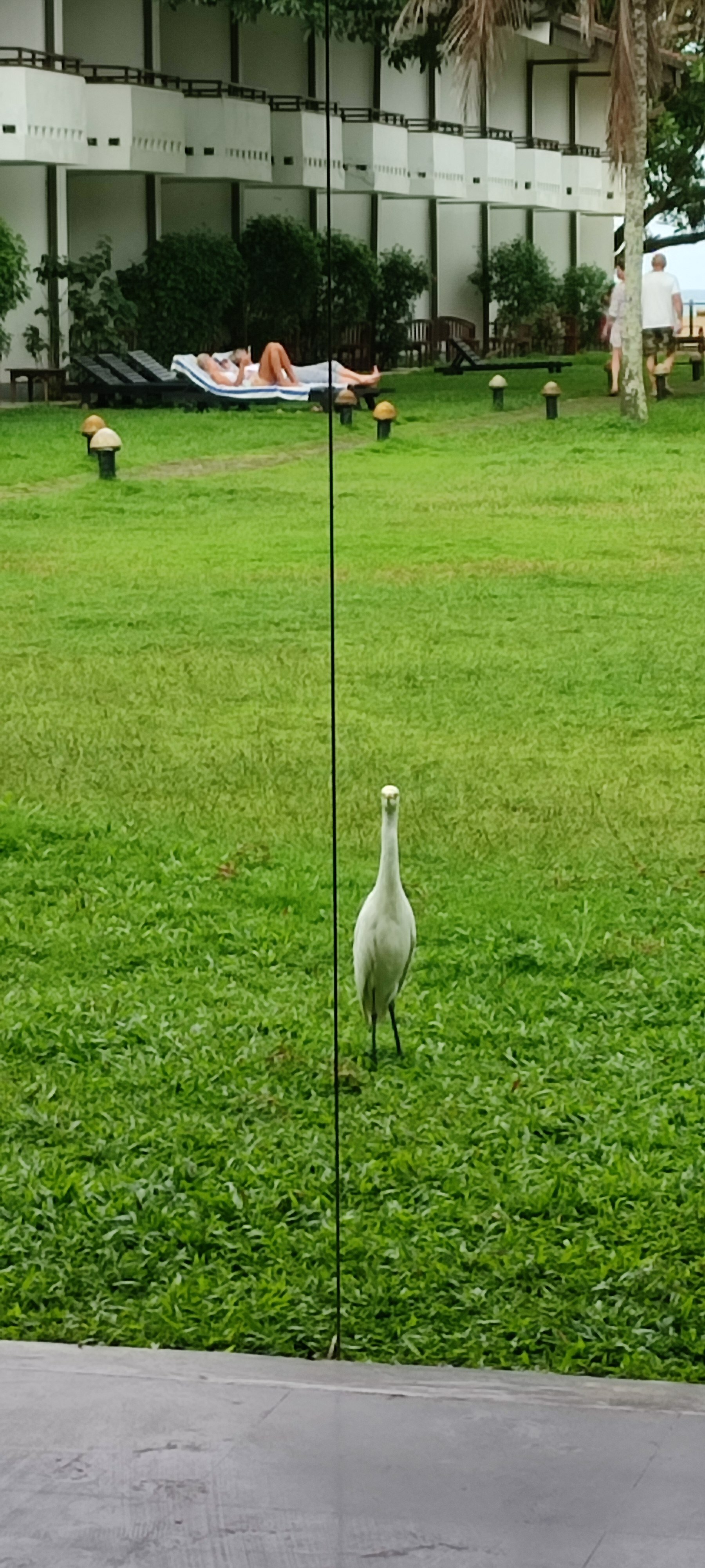 Фото Hibiscus Beach Hotel & Villas