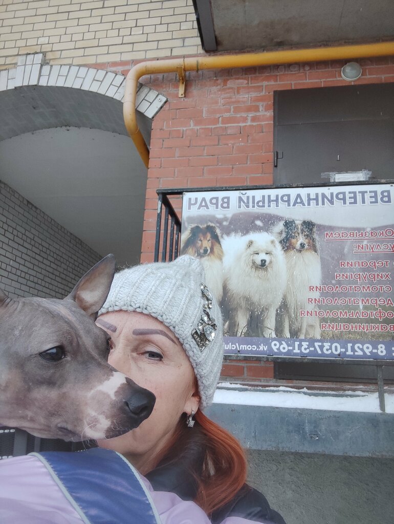 Ветеринарная клиника Ветеринарная помощь, Рыбинск, фото