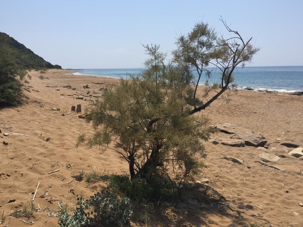 Фото Morfeas Hotel