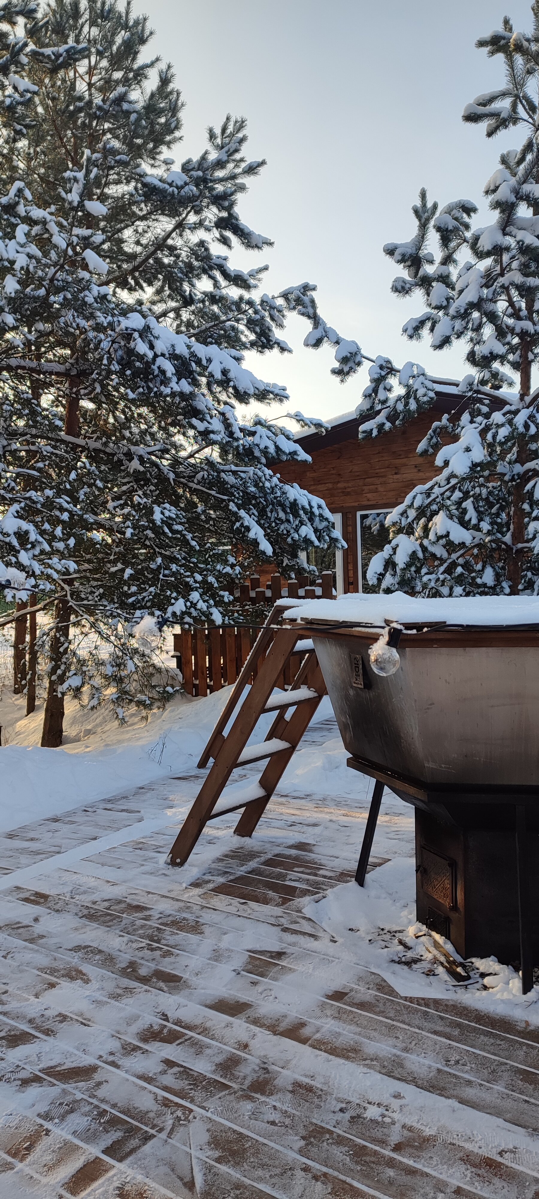 Фото Мишкино