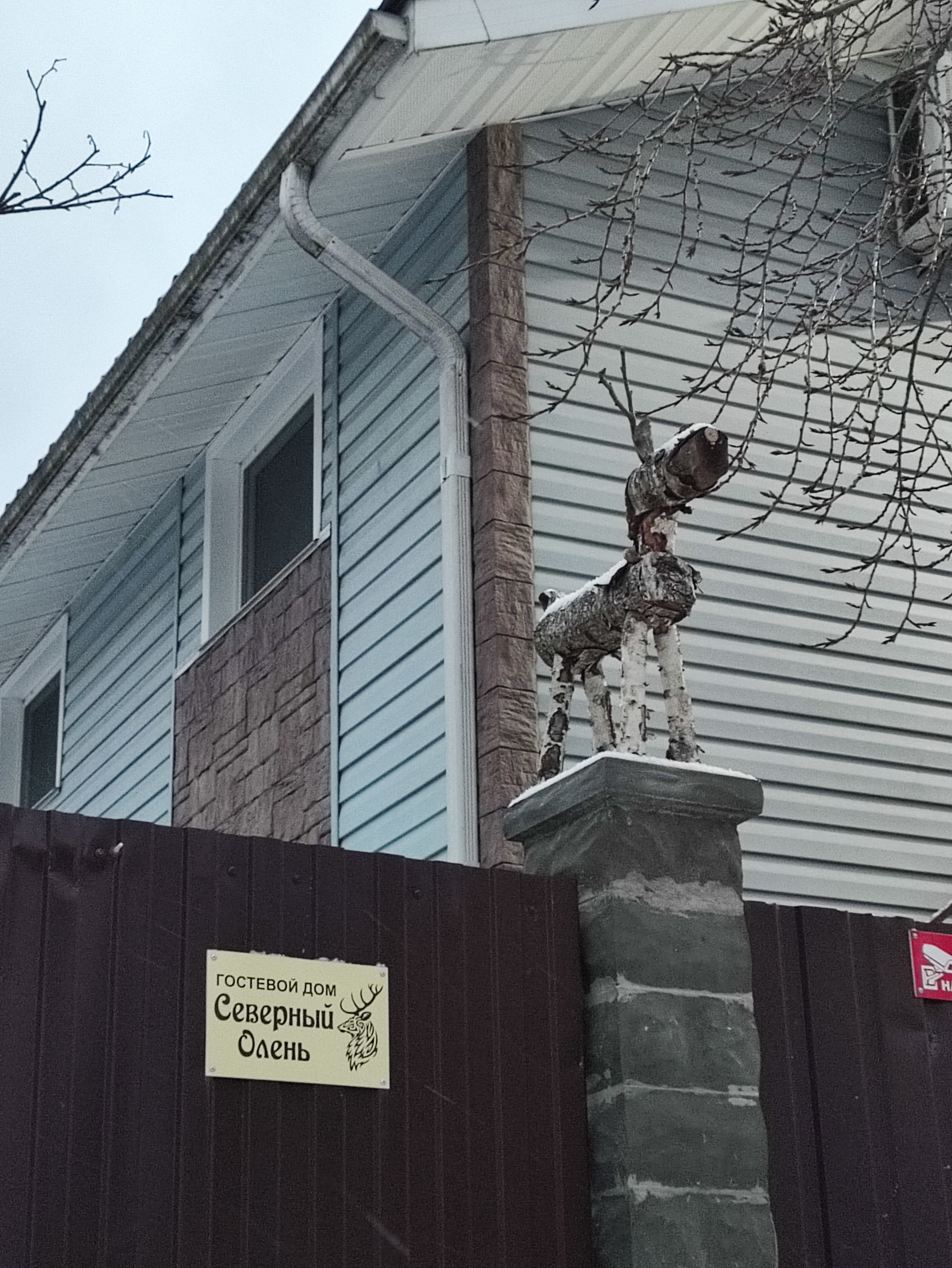 Фото Северный олень